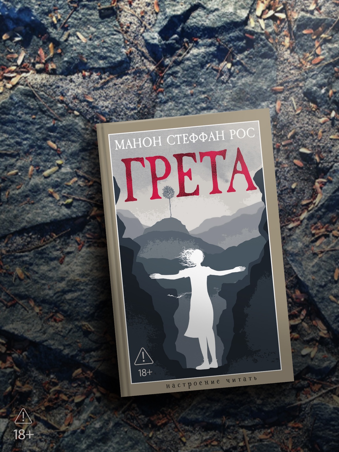 Промо материал к книге "Грета (твердый)" №2