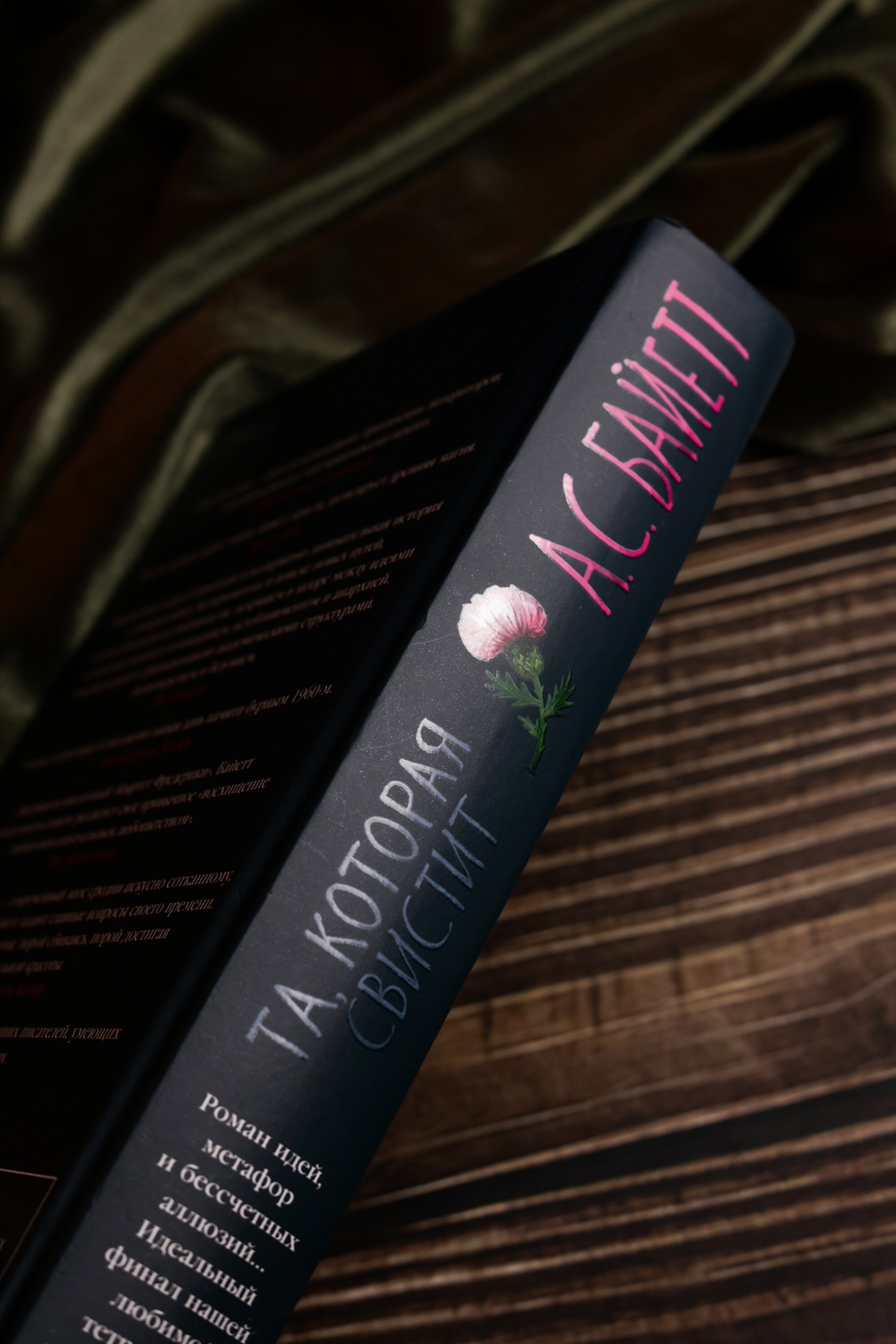 Промо материал к книге "Та, которая свистит" №12