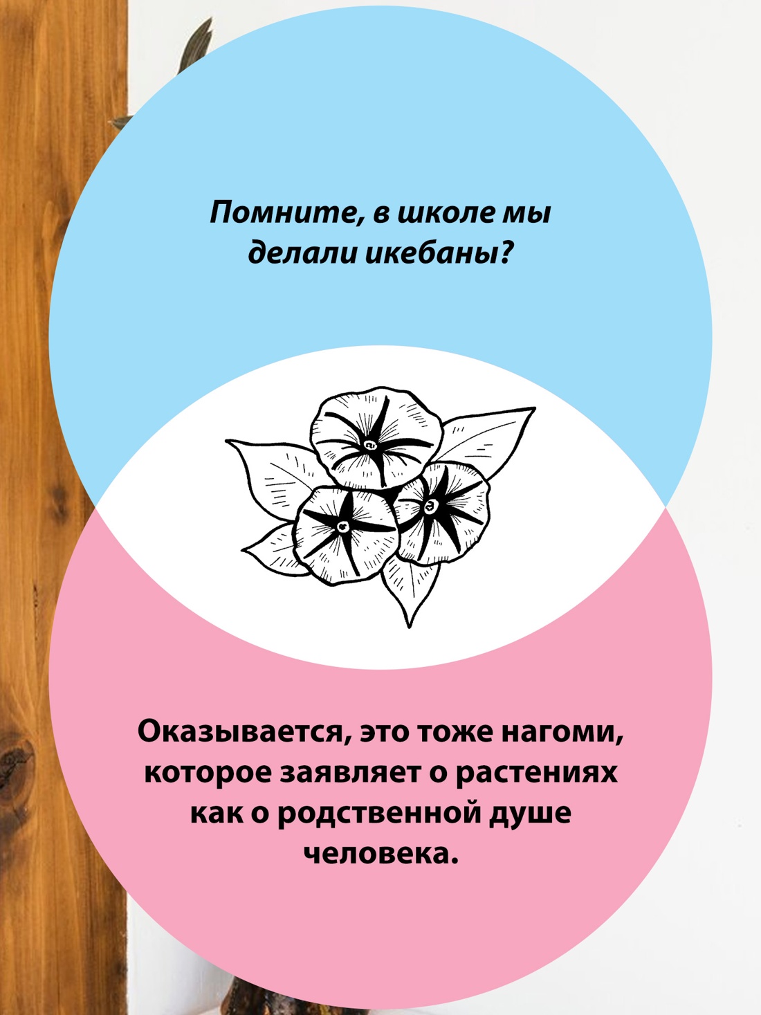 Промо материал к книге "У истоков Икигай. Нагоми. Легкость бытия по-японски. Философия равновесия" №7