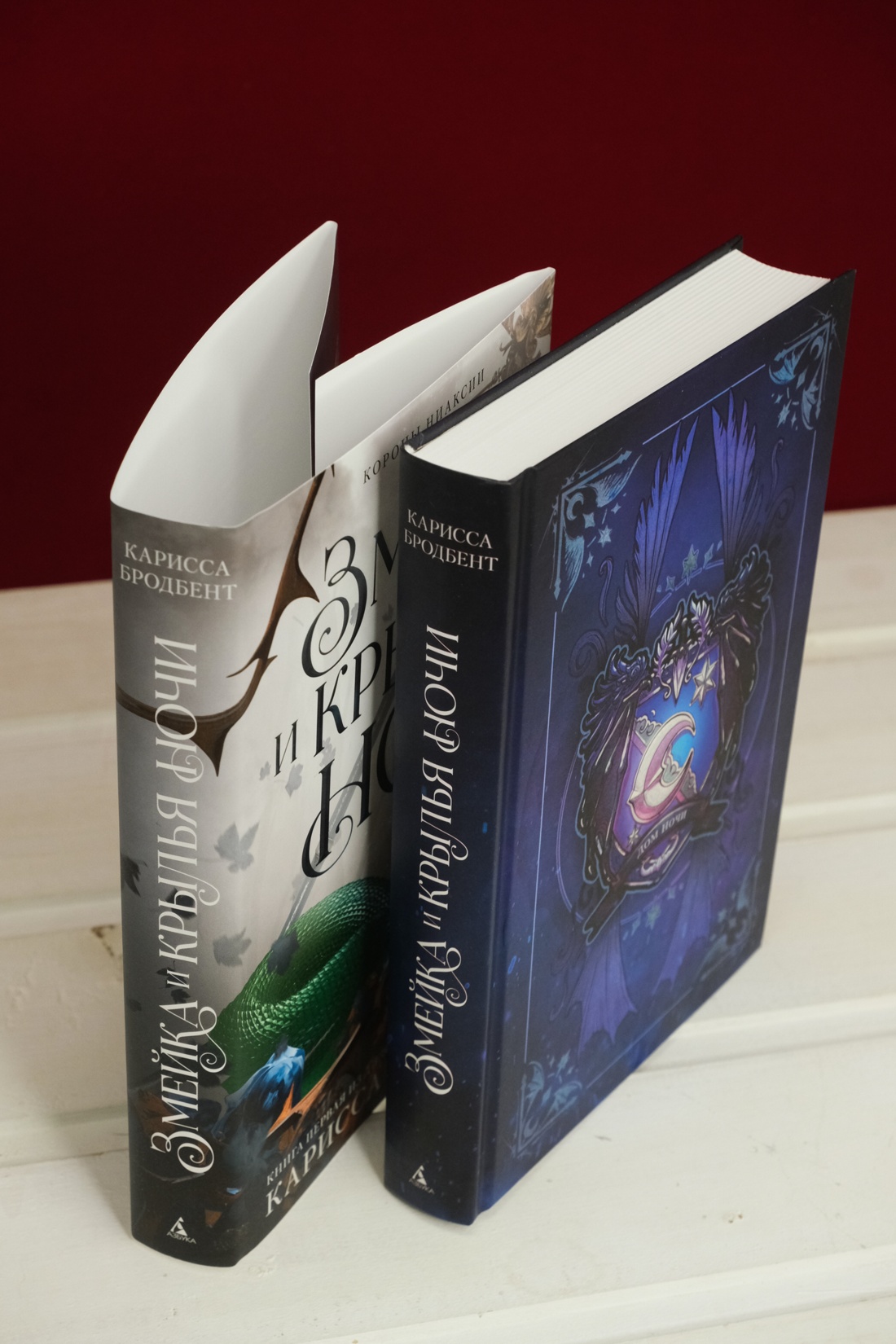 Промо материал к книге "Короны Ниаксии. Змейка и крылья ночи. Книга первая из дилогии о ночерожденных" №10