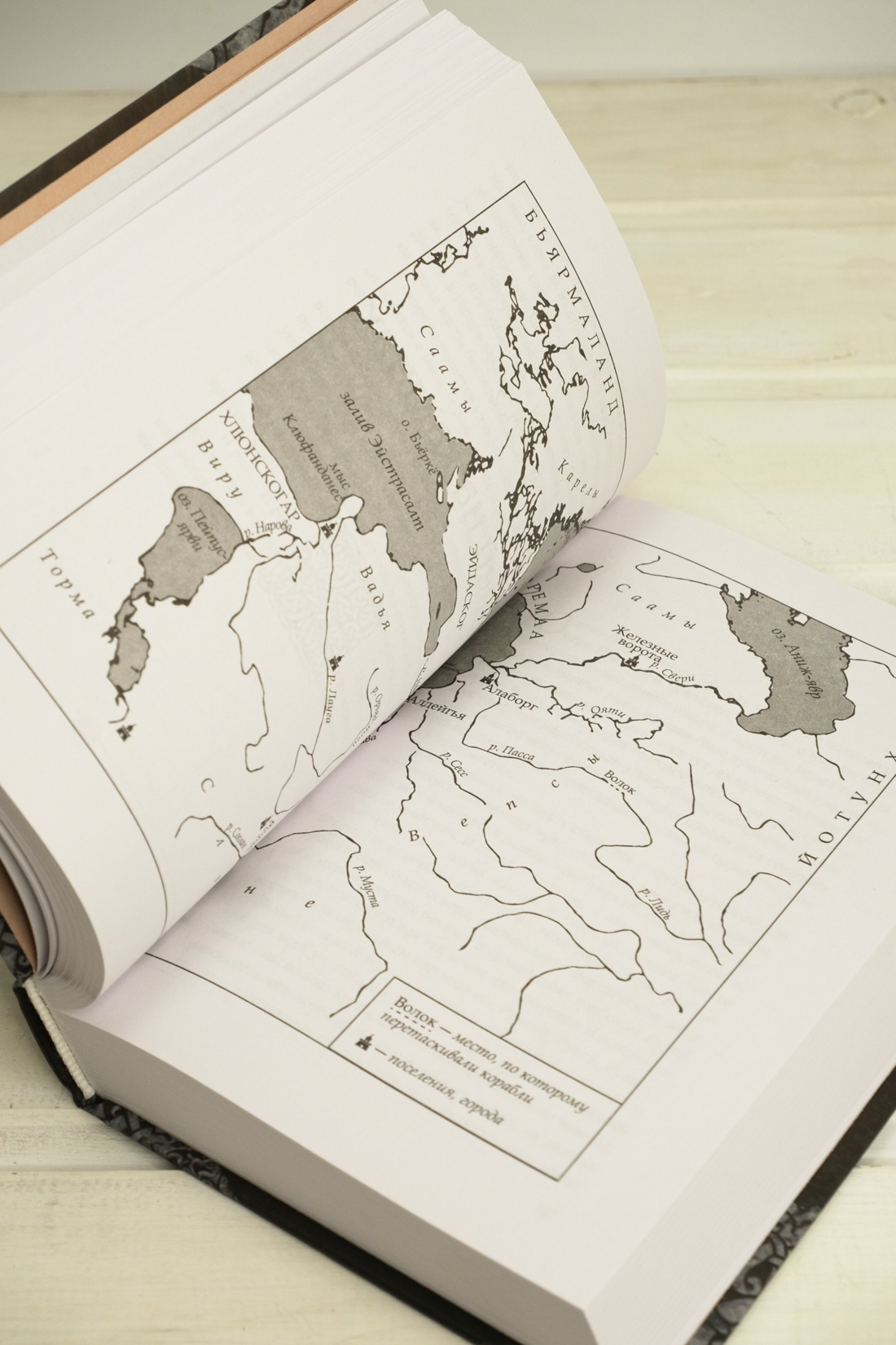 Промо материал к книге "Руны земли" №9