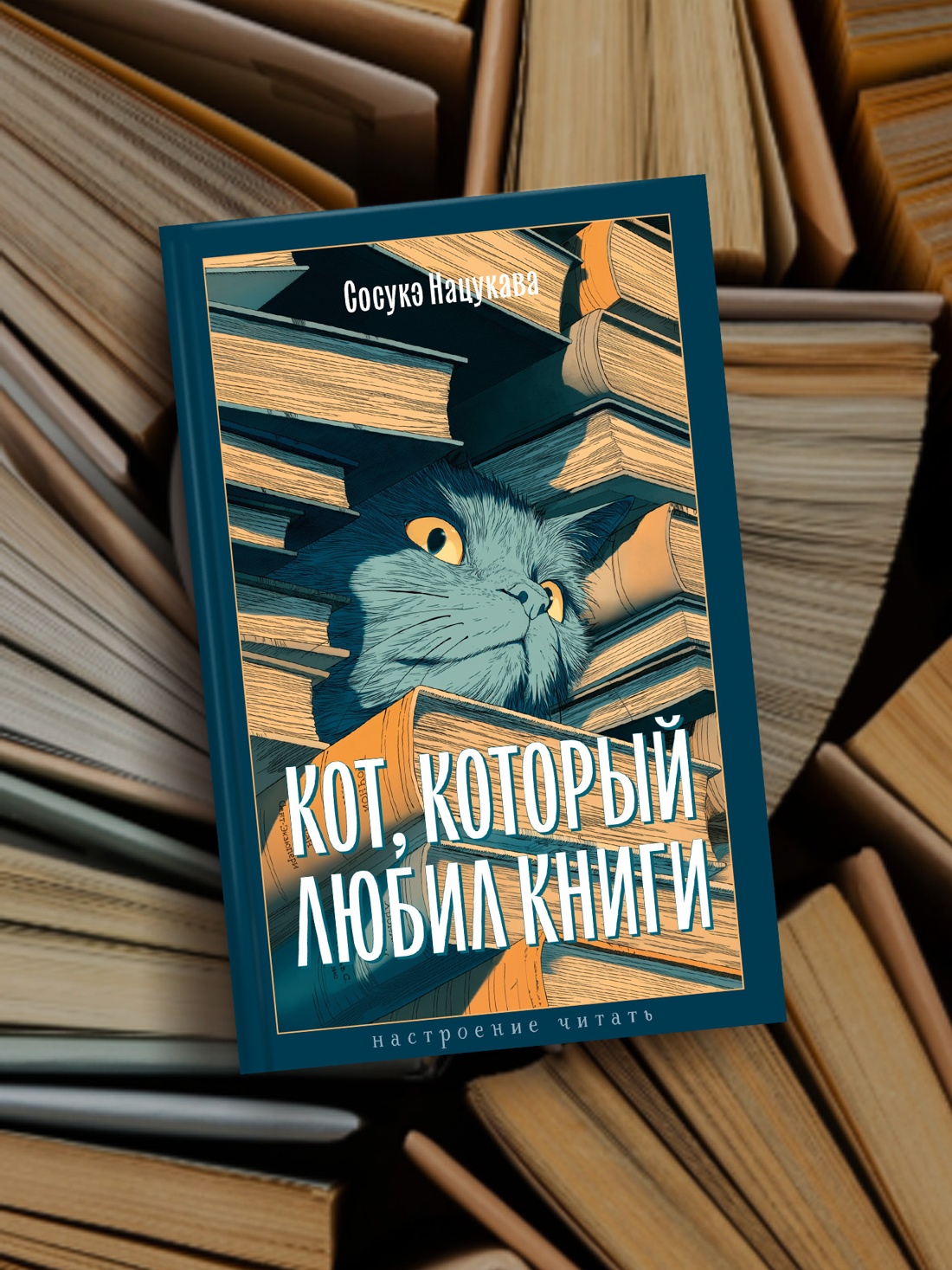 Промо материал к книге "Кот, который любил книги" №2