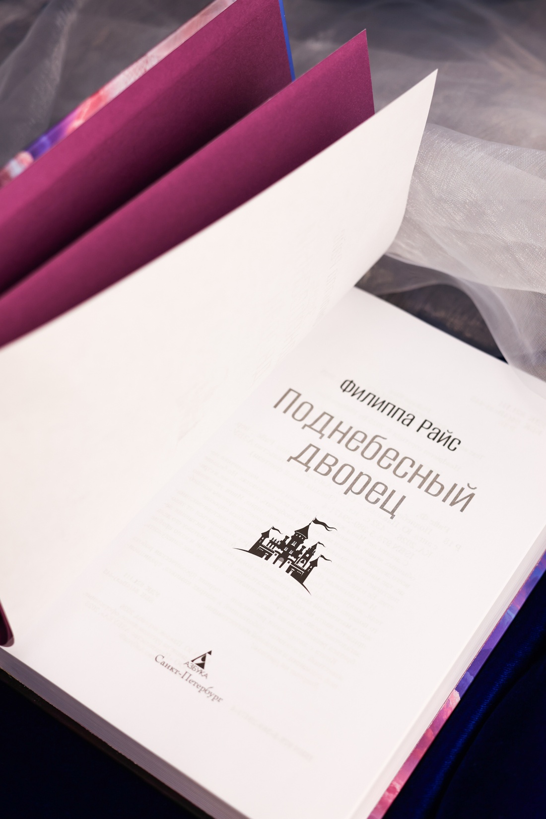 Промо материал к книге "Поднебесный дворец" №7