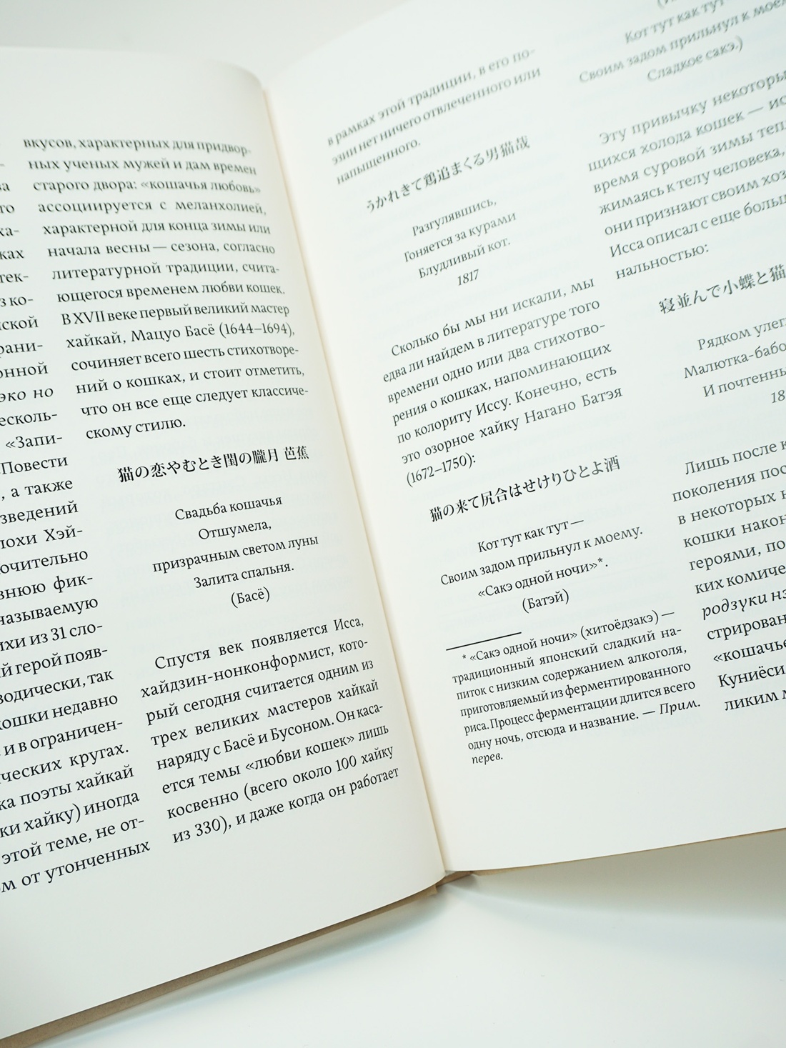Промо материал к книге "Кошки японской поэзии" №7