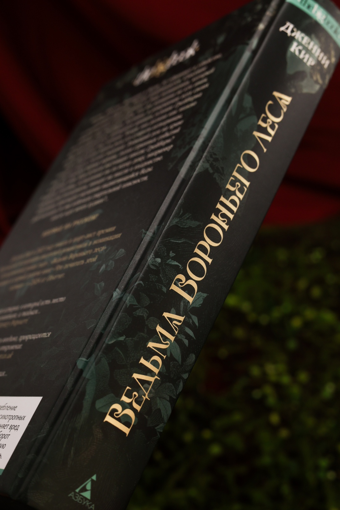 Промо материал к книге "Ведьма Вороньего леса" №8