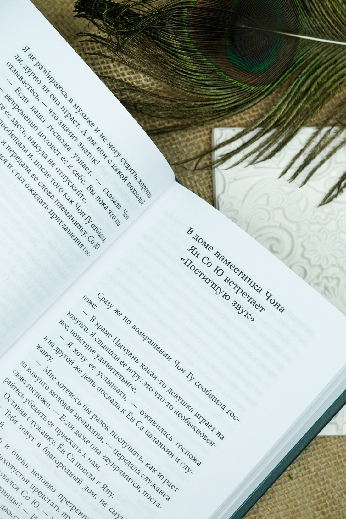 Промо материал к книге "Облачный сон девяти" №3