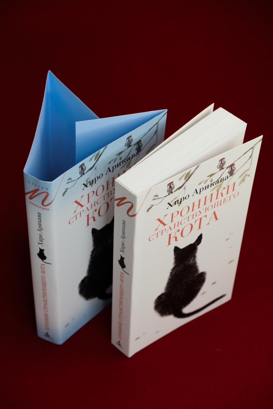 Промо материал к книге "Хроники странствующего кота" №9