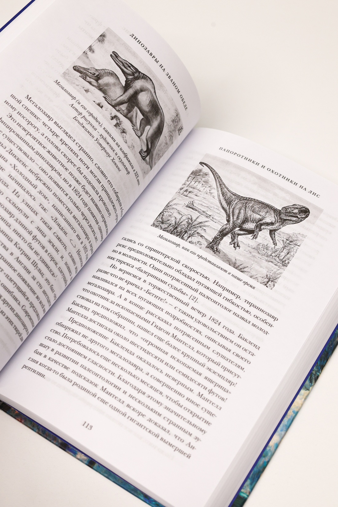 Промо материал к книге "Динозавры на званом обеде: Как человечество открыло дверь в затерянный мир" №11
