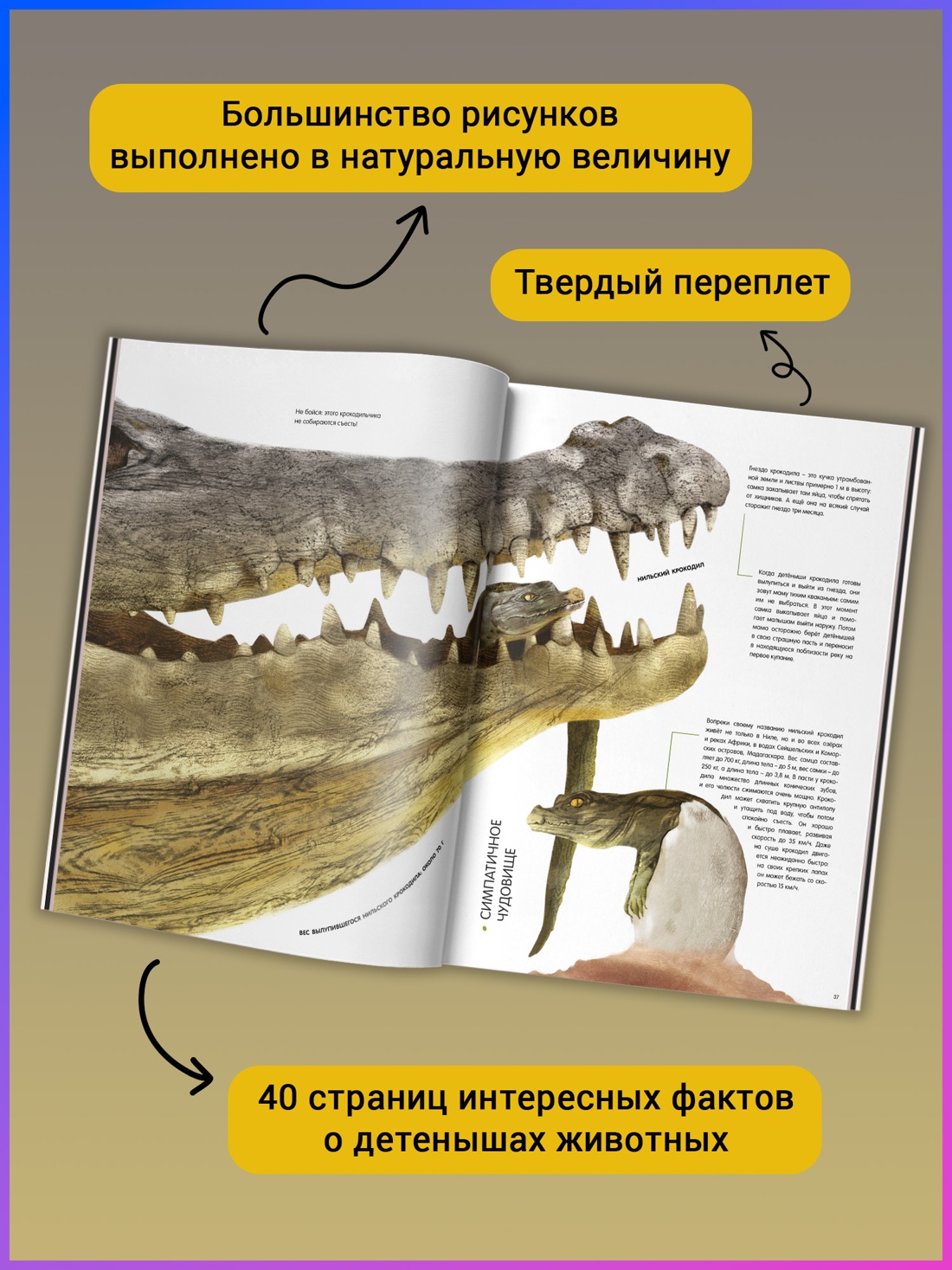 Промо материал к книге "Детёныши животных в натуральную величину" №2