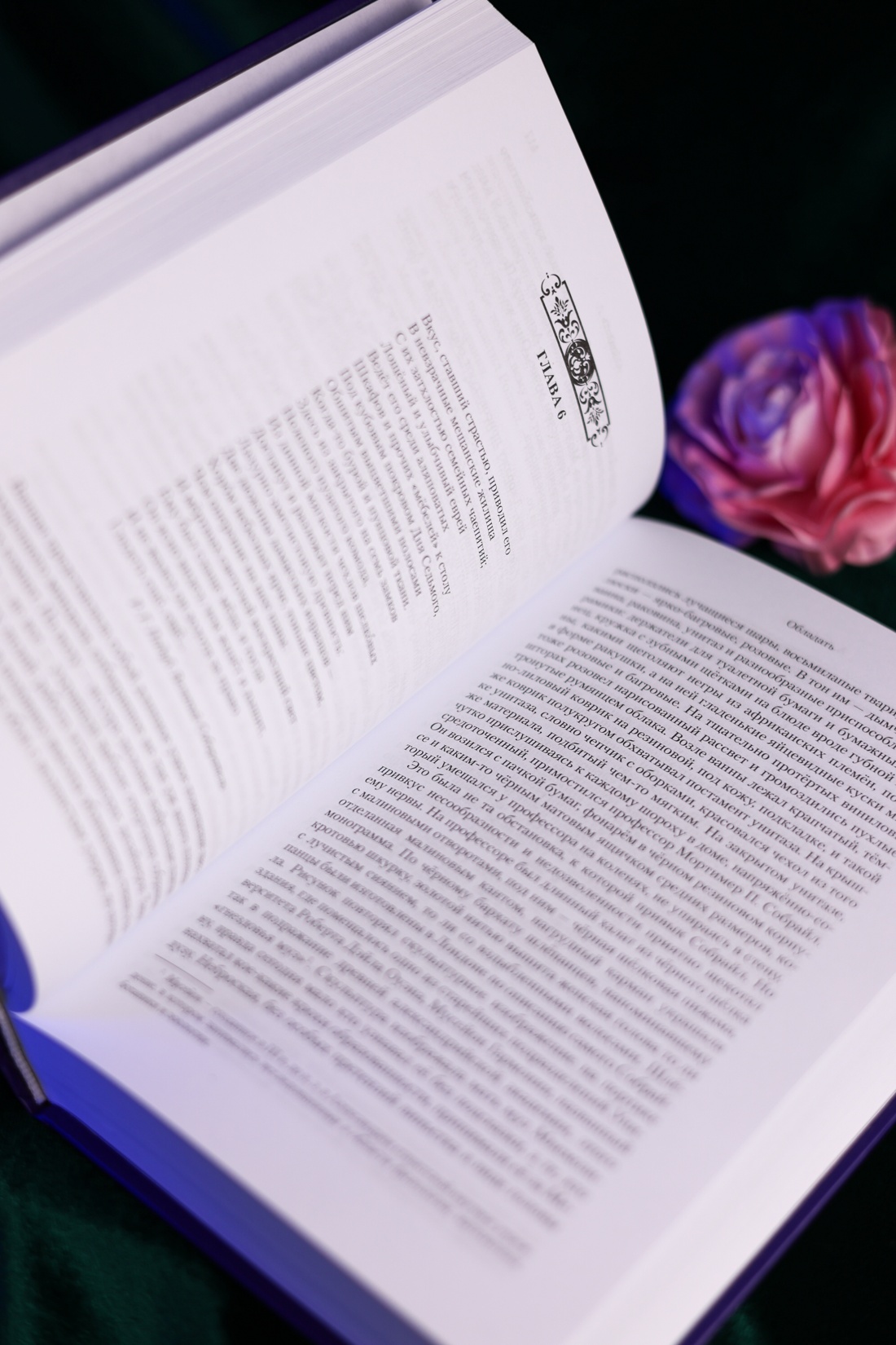Промо материал к книге "Обладать" №12