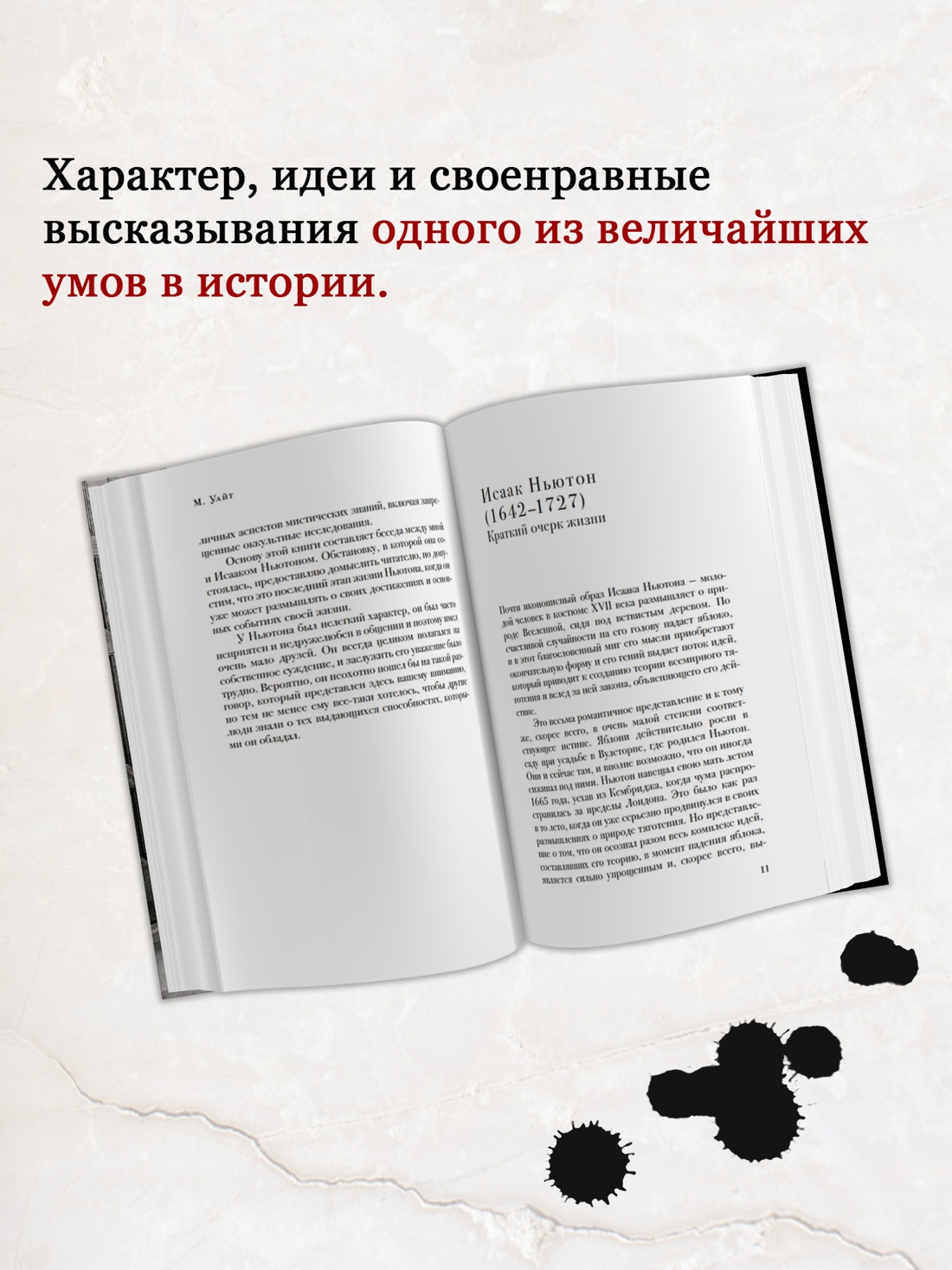 Промо материал к книге "Беседы с Исааком Ньютоном" №1