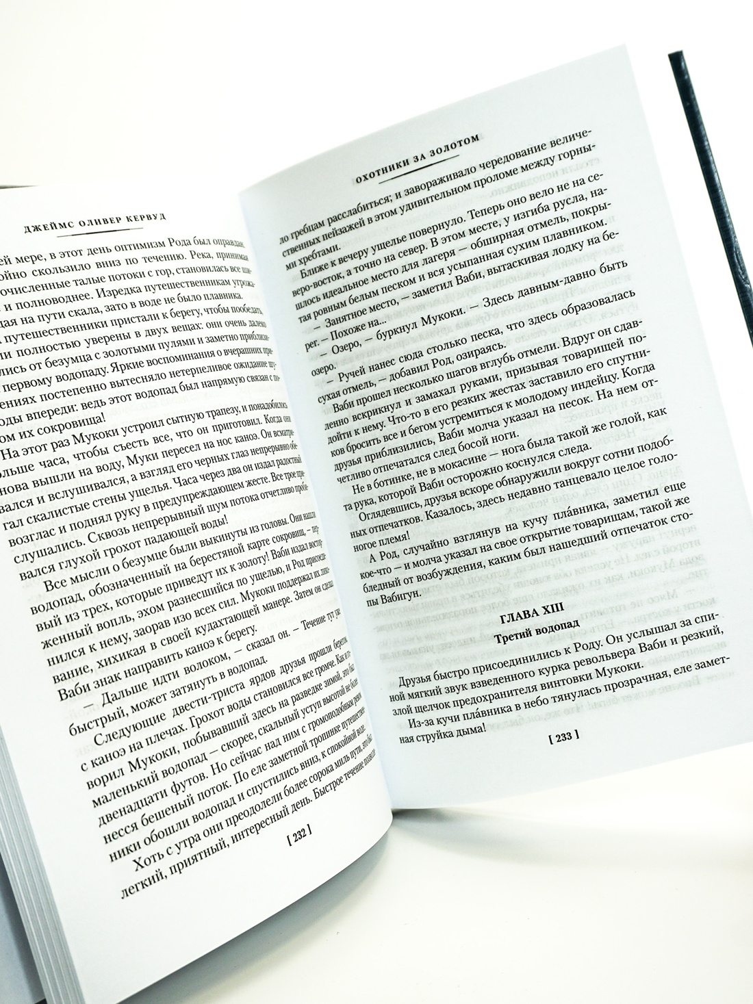 Промо материал к книге "Охотники на волков" №2