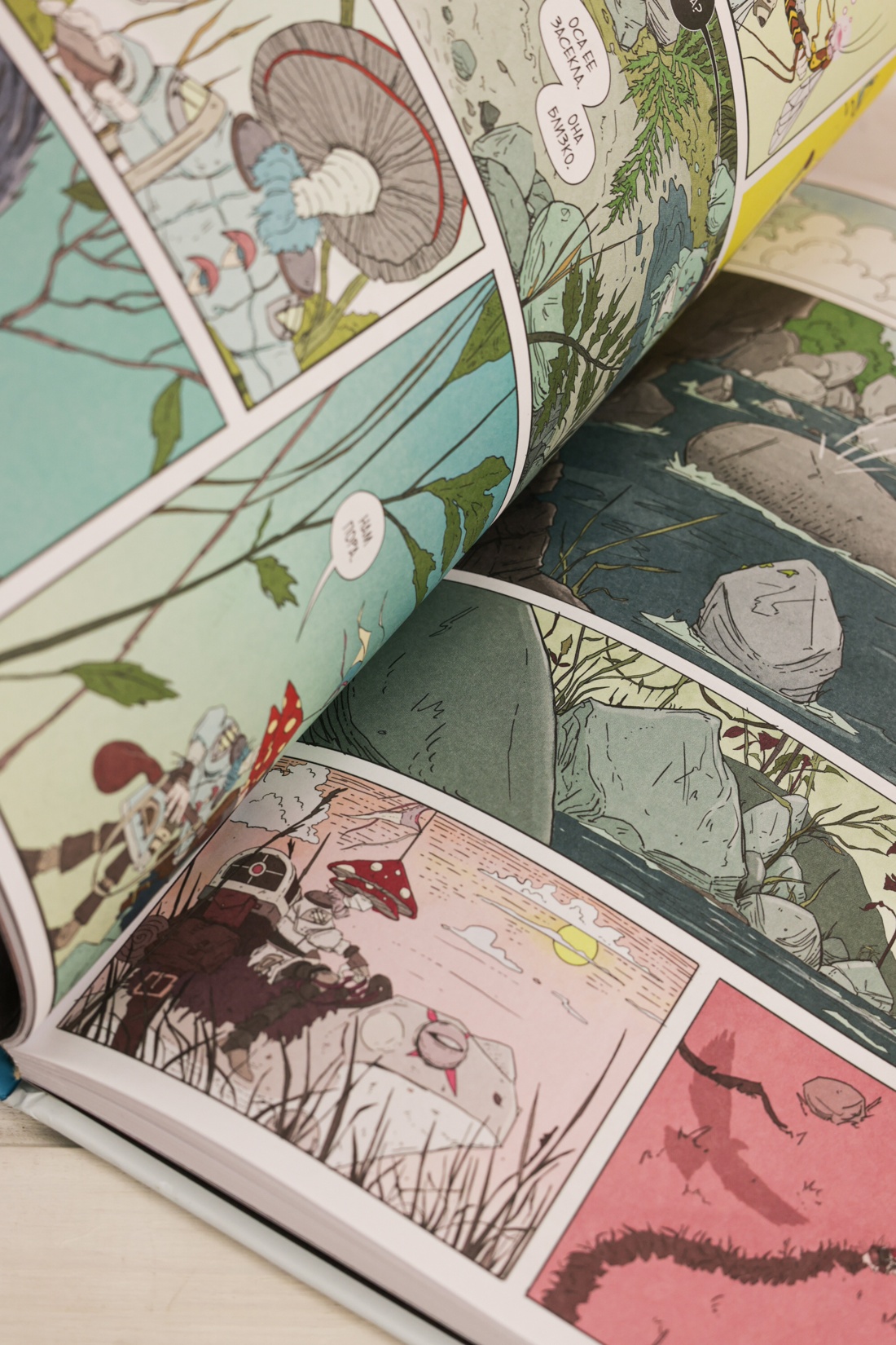 Промо материал к книге "Рыцарь-гриб. Книга 1" №10