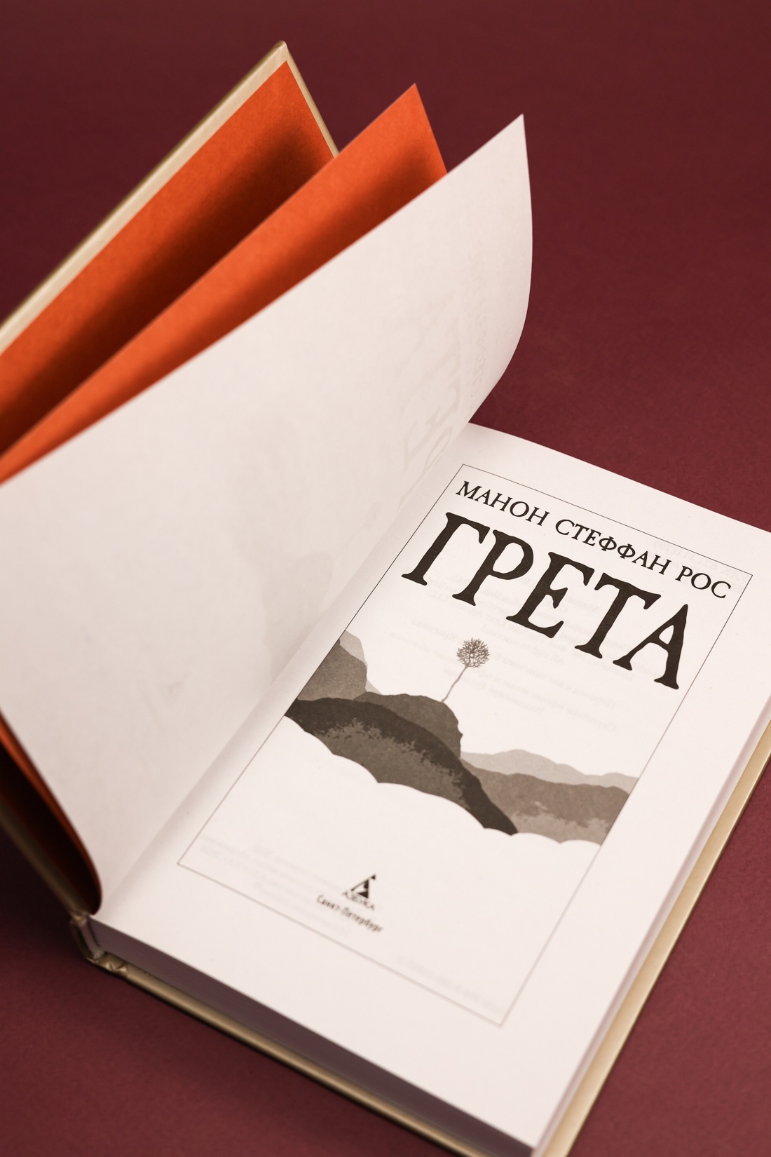 Промо материал к книге "Грета (твердый)" №8