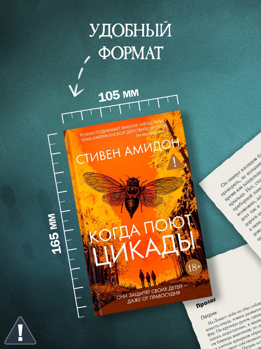 Промо материал к книге "Когда поют цикады" №5