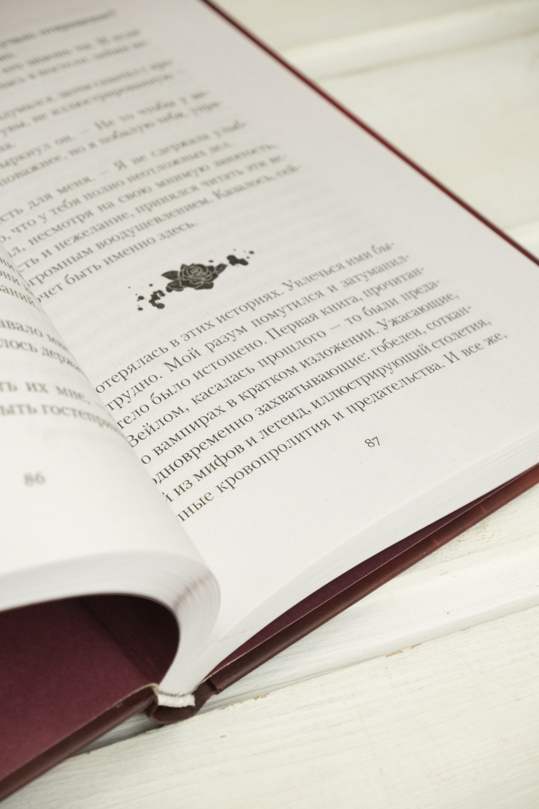 Промо материал к книге "Шесть опаленных роз" №11