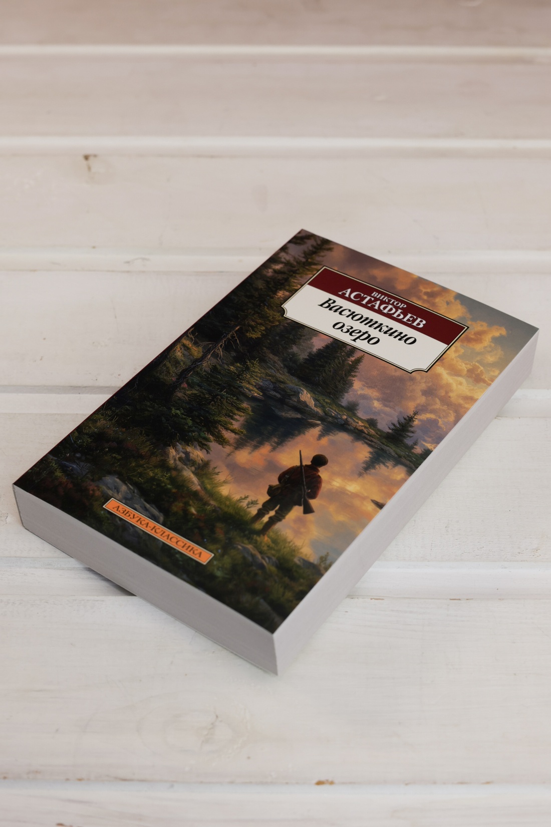 Промо материал к книге "Васюткино озеро" №4