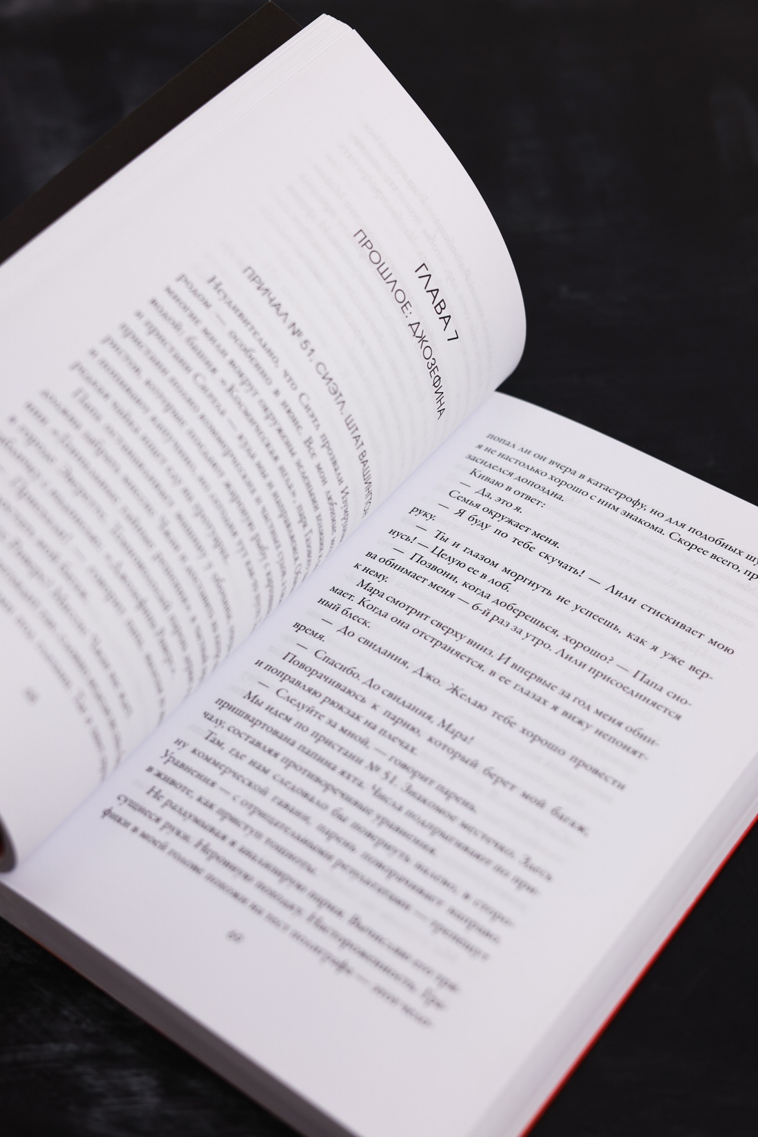 Промо материал к книге "Джозефина вычисляет вероятности" №9