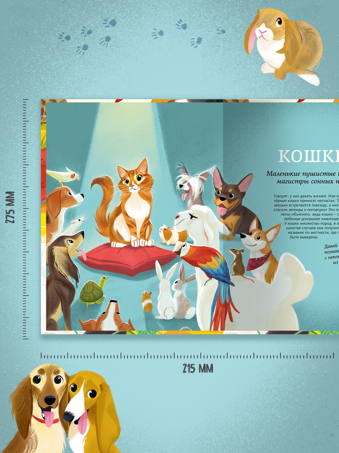 Промо материал к книге "Все-все-все домашние питомцы" №3