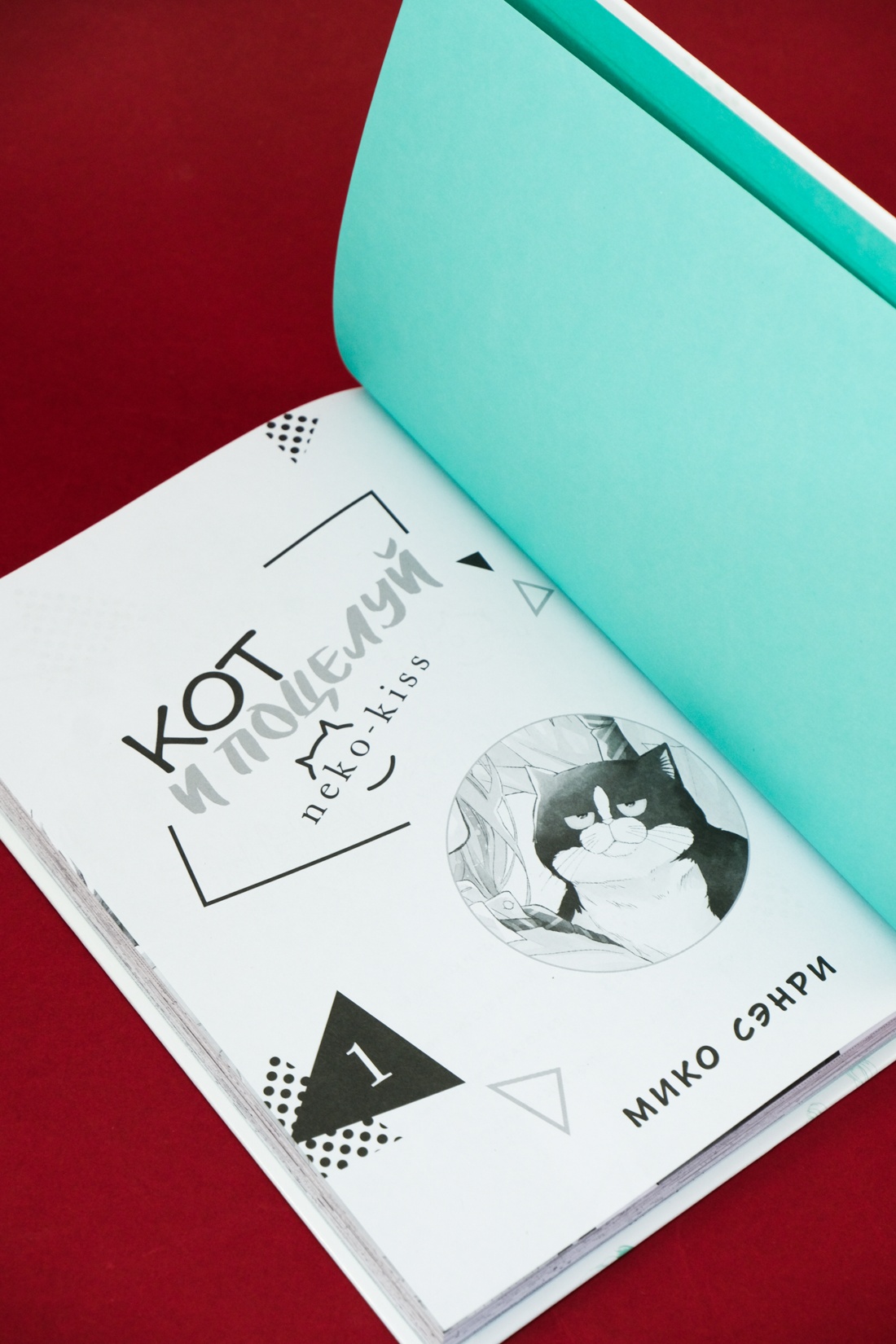 Промо материал к книге "Кот и поцелуй. Том 1" №4