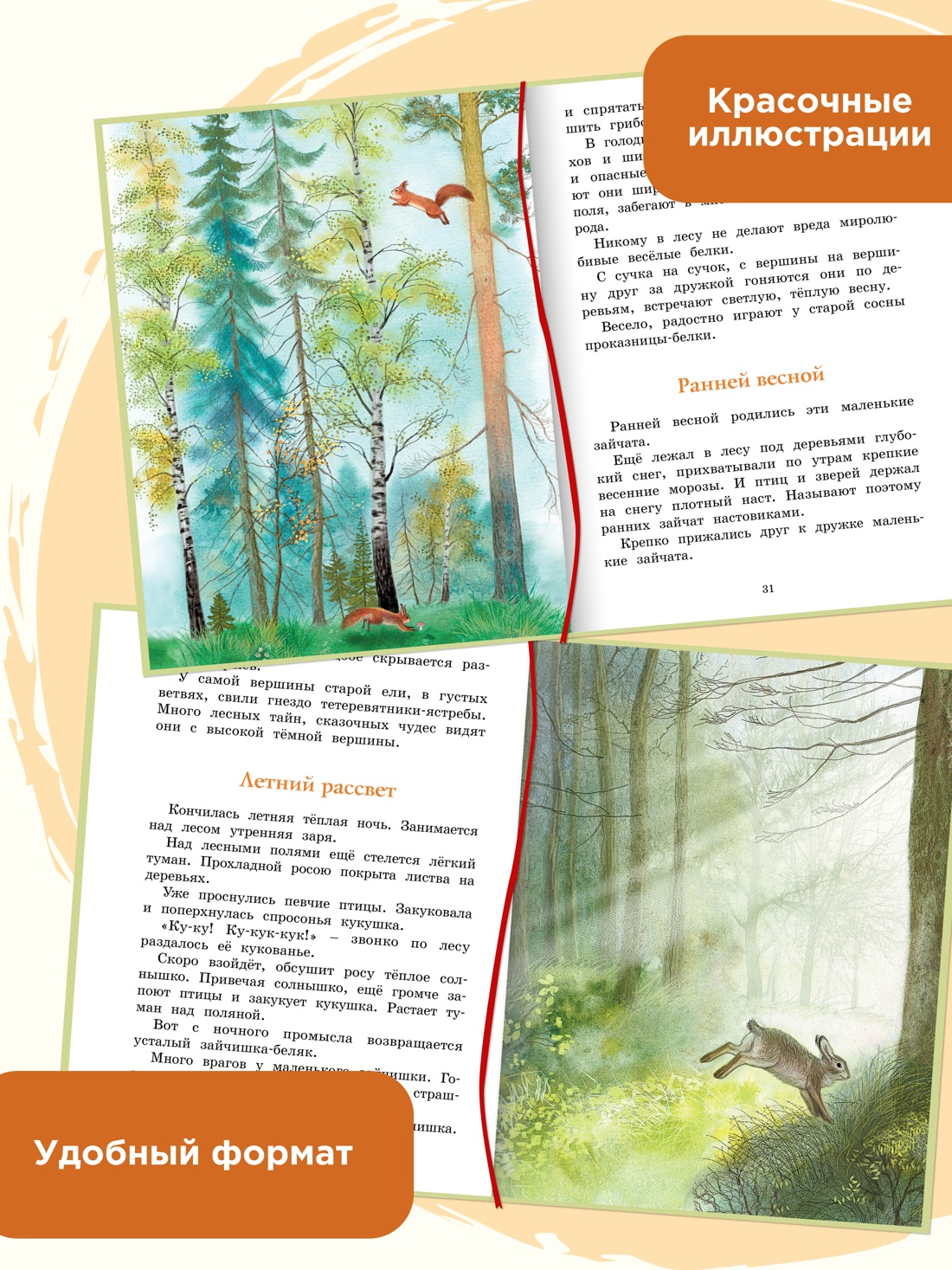 Промо материал к книге "Год в лесу. Рассказы о природе" №0