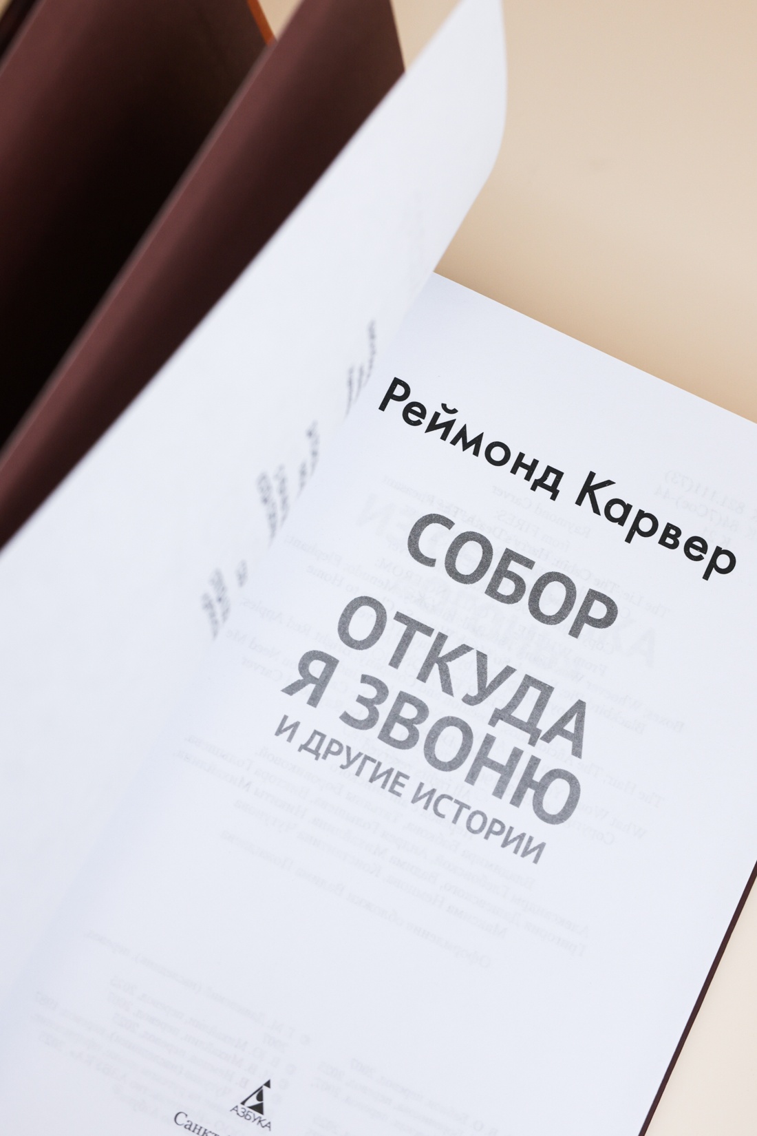 Промо материал к книге "Собор. Откуда я звоню и другие истории" №6