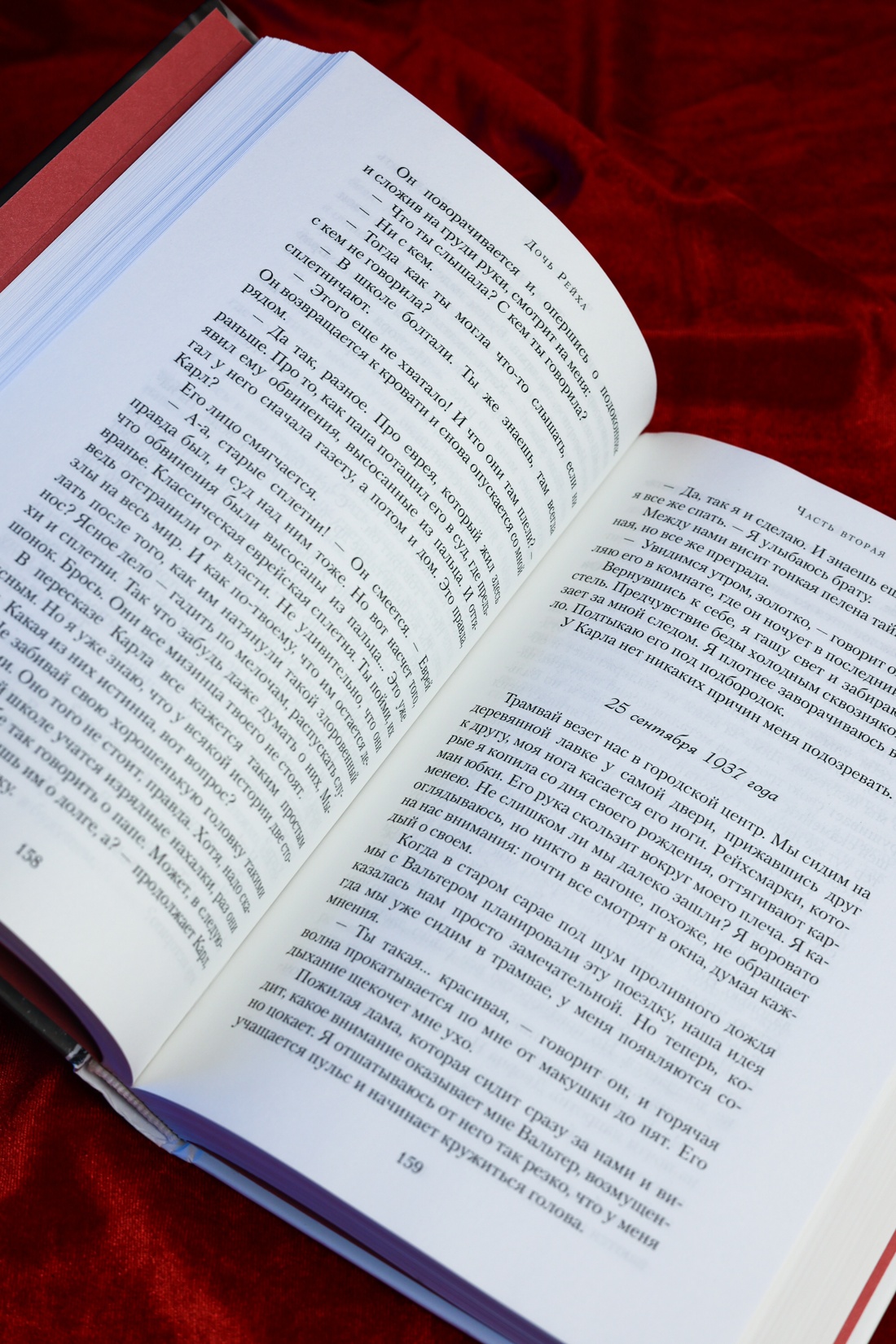 Промо материал к книге "Дочь Рейха (The Big Book)" №8