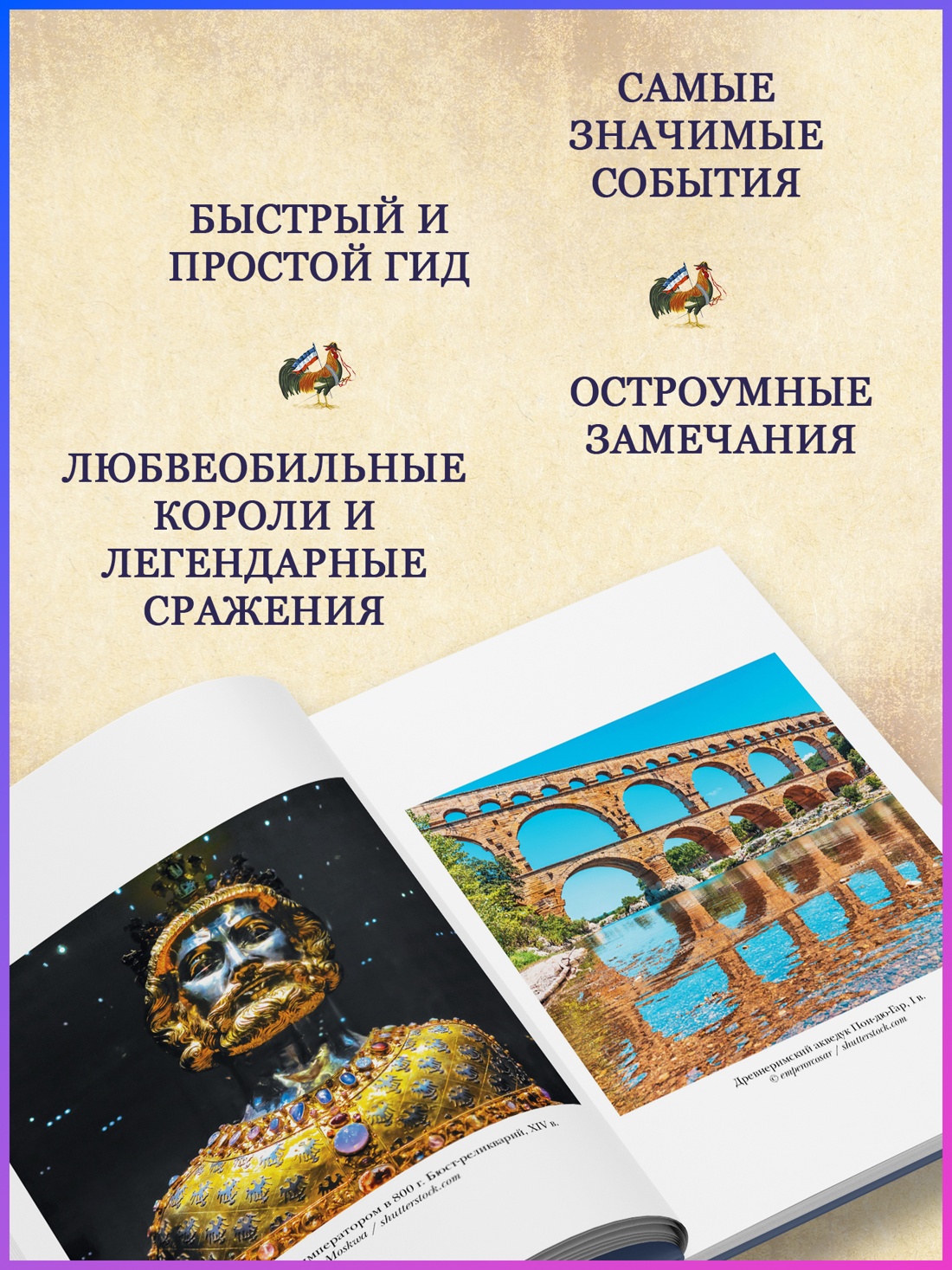 Промо материал к книге "Франция. Краткая история: от Галлии до де Голля" №1