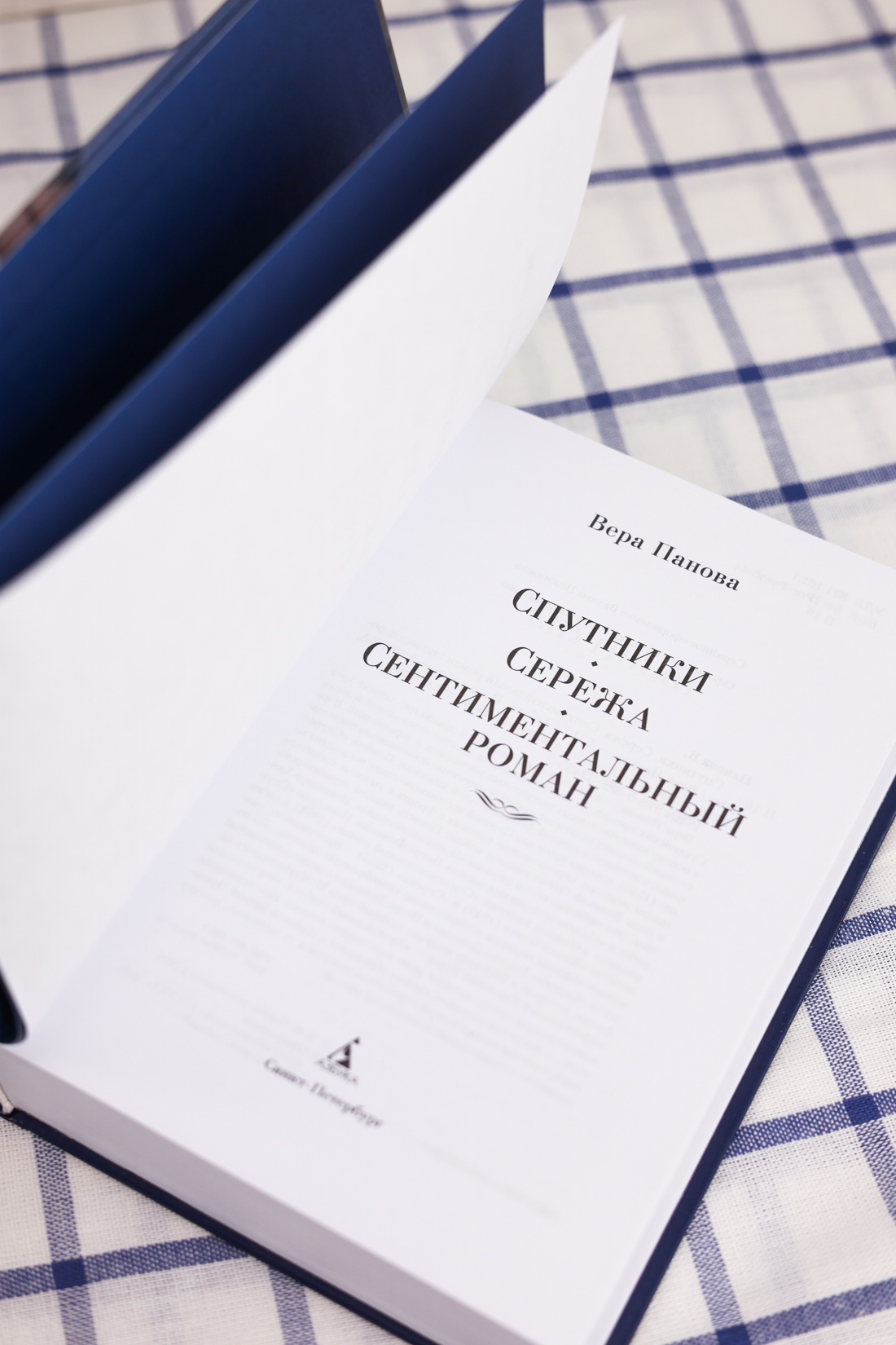 Промо материал к книге "Спутники. Сережа. Сентиментальный роман" №6