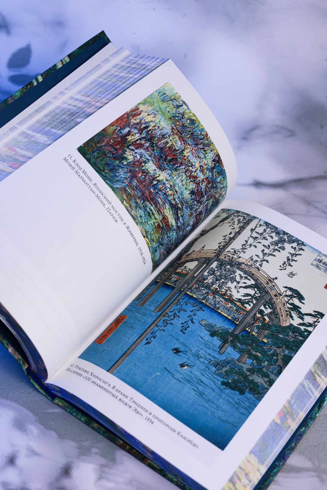 Промо материал к книге "Чарующее безумие. Клод Моне и водяные лилии (Бестселлеры Non-Fiction)" №10