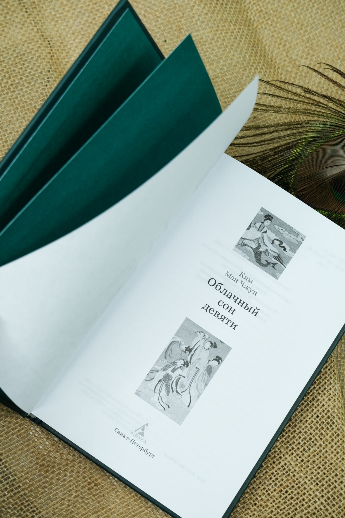 Промо материал к книге "Облачный сон девяти" №7