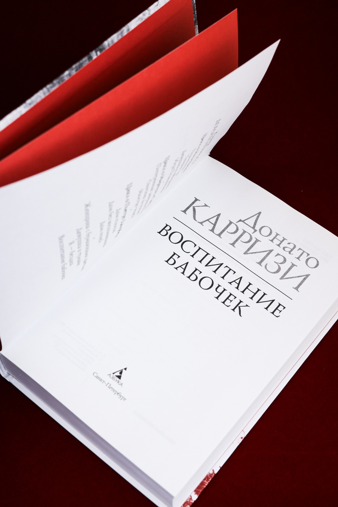 Промо материал к книге "Воспитание бабочек" №9