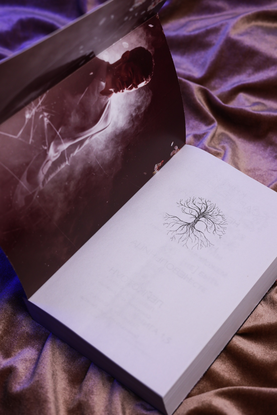 Промо материал к книге "Невольница. Книга 1.5" №8