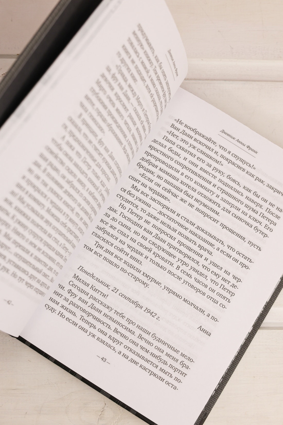 Промо материал к книге "Дневник Анны Франк" №9