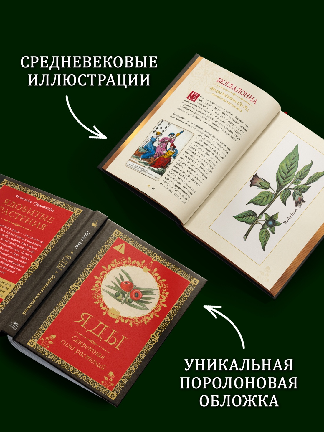 Промо материал к книге "Яды. Секретная сила растений" №2