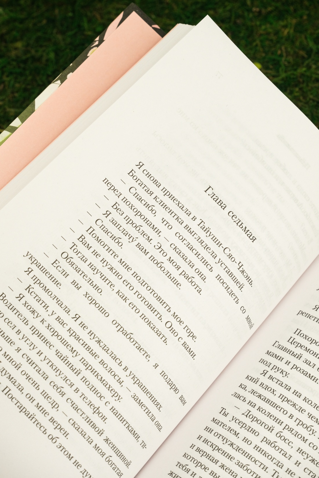 Промо материал к книге "Плакальщица" №8