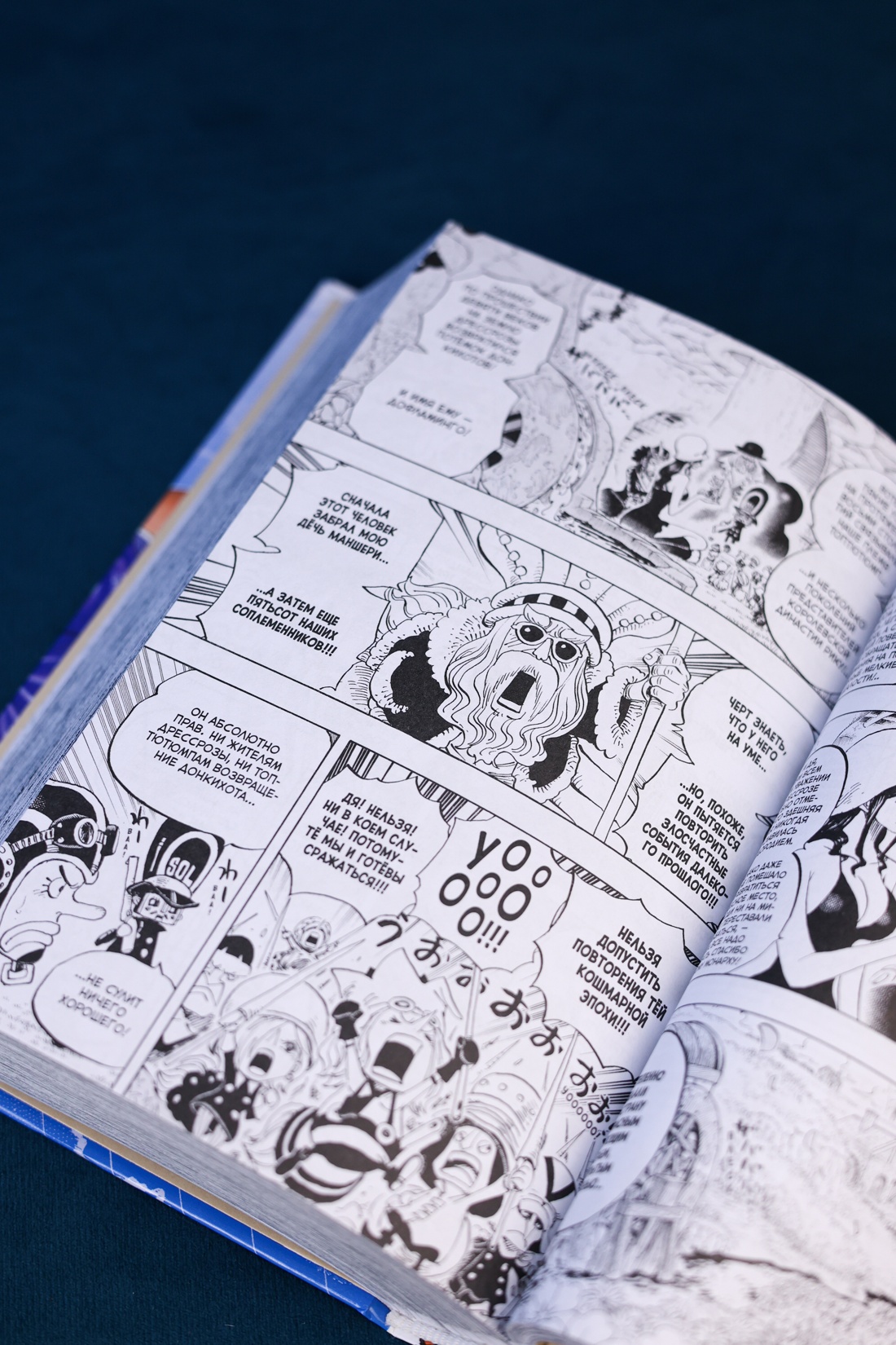 Промо материал к книге "One Piece. Большой куш. Книга 25. Я никогда тебя не брошу" №7