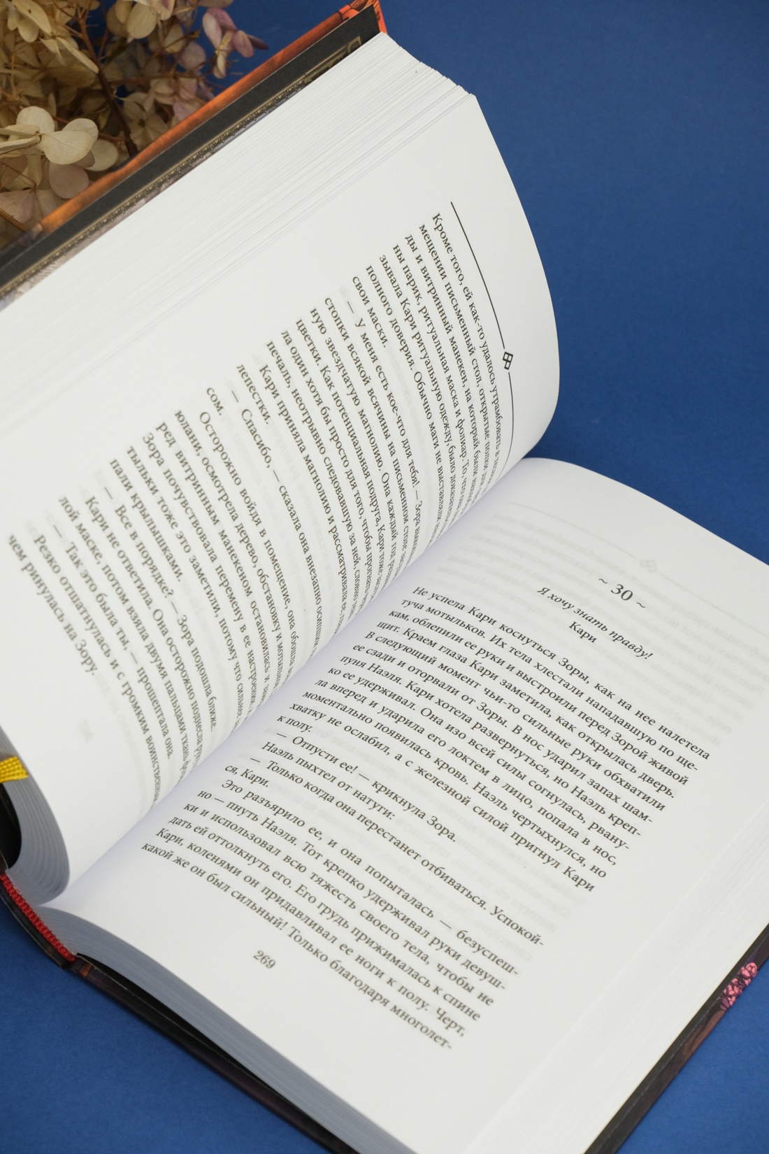 Промо материал к книге "Бухта Магнолия. Магия, чистая и злая" №15
