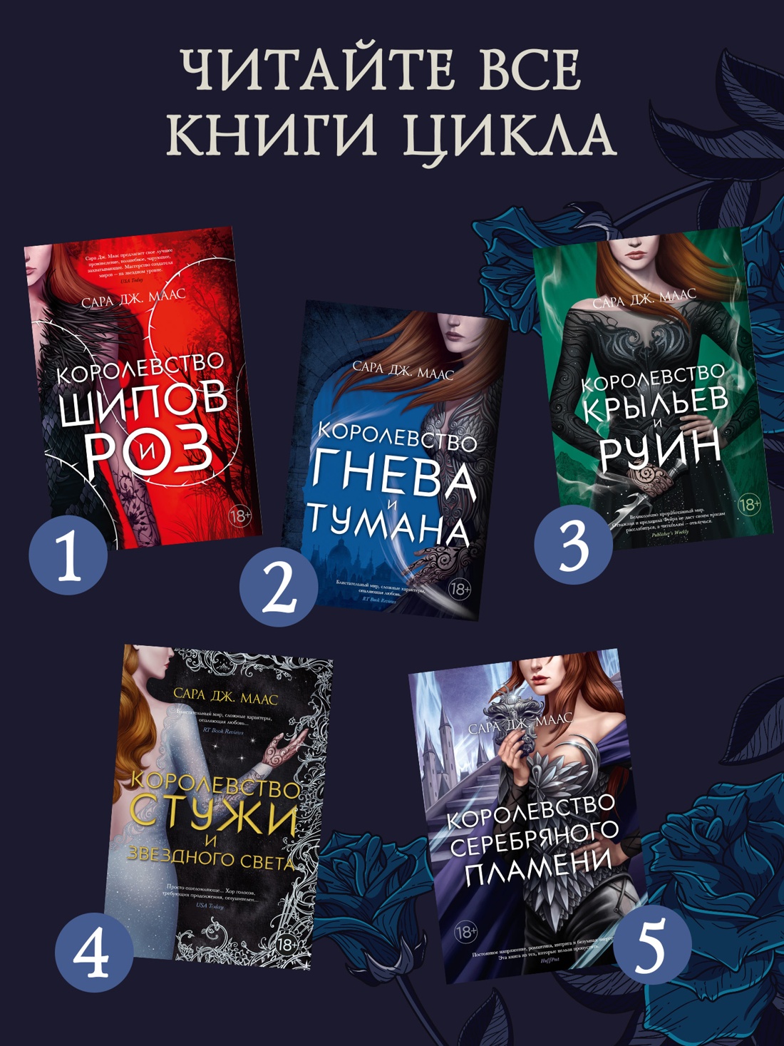 Промо материал к книге "Королевство серебряного пламени" №2