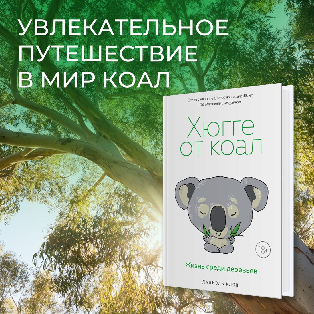 Промо материал к книге "Хюгге от коал. Жизнь среди деревьев" №0