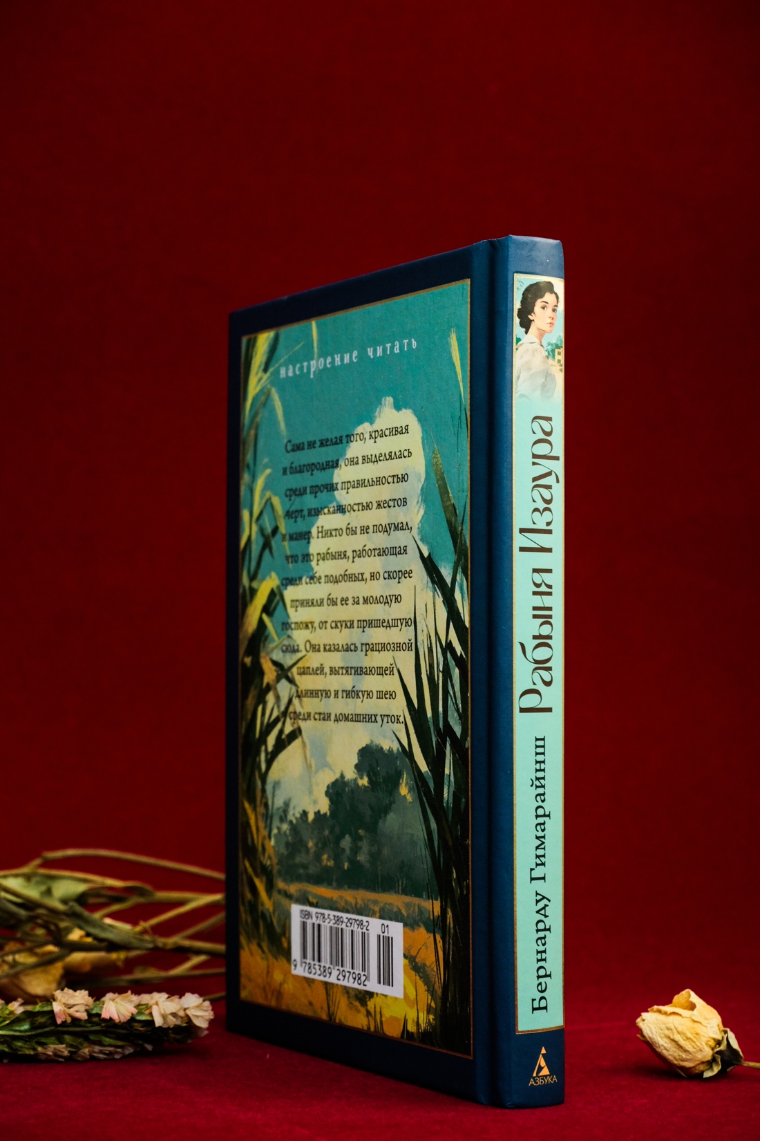 Промо материал к книге "Рабыня Изаура" №10