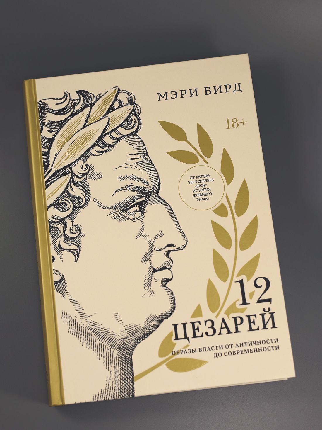 Промо материал к книге "Двенадцать цезарей. Образы власти от Античности до современности" №4