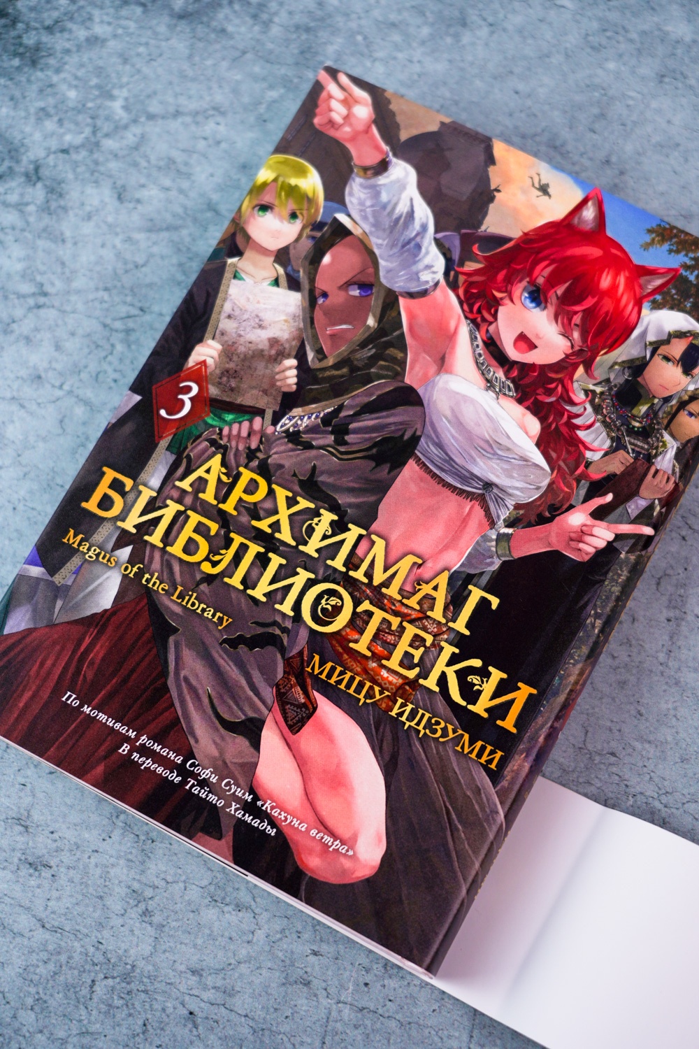 Промо материал к книге "Архимаг библиотеки. Книга 3" №6
