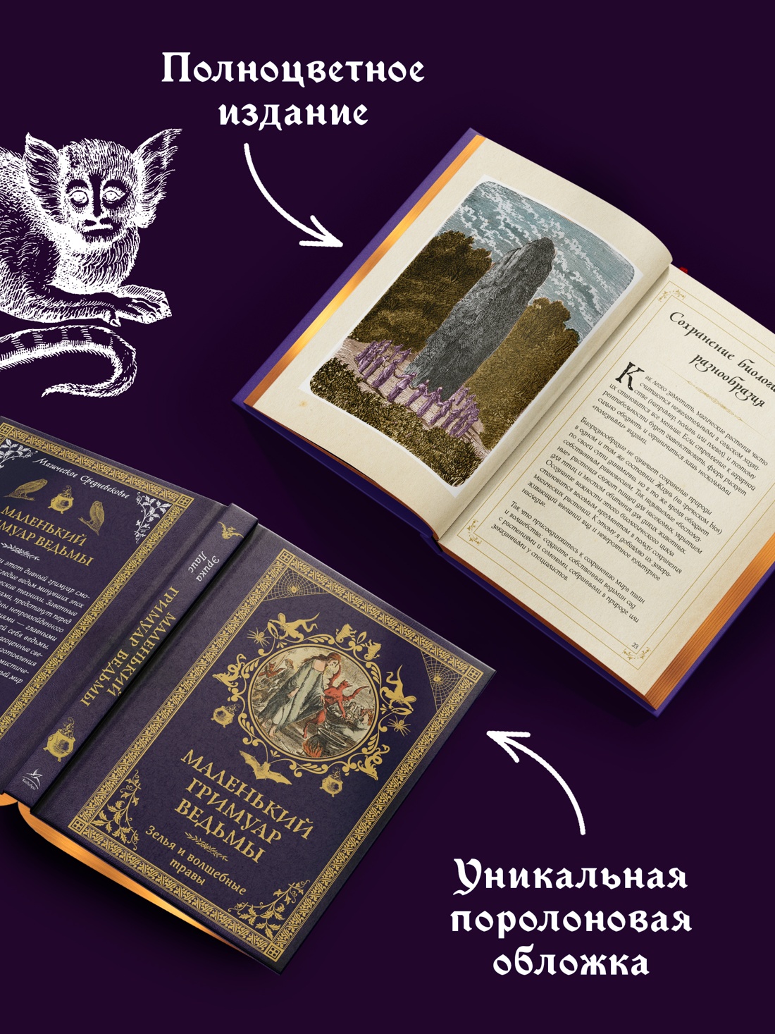 Промо материал к книге "Маленький гримуар ведьмы. Зелья и волшебные травы" №2