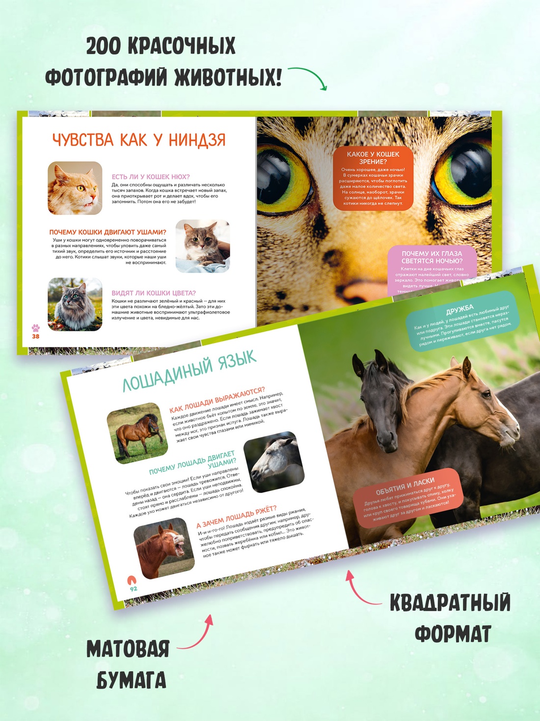 Промо материал к книге "Моя первая книга о животных. 200 фотографий" №1