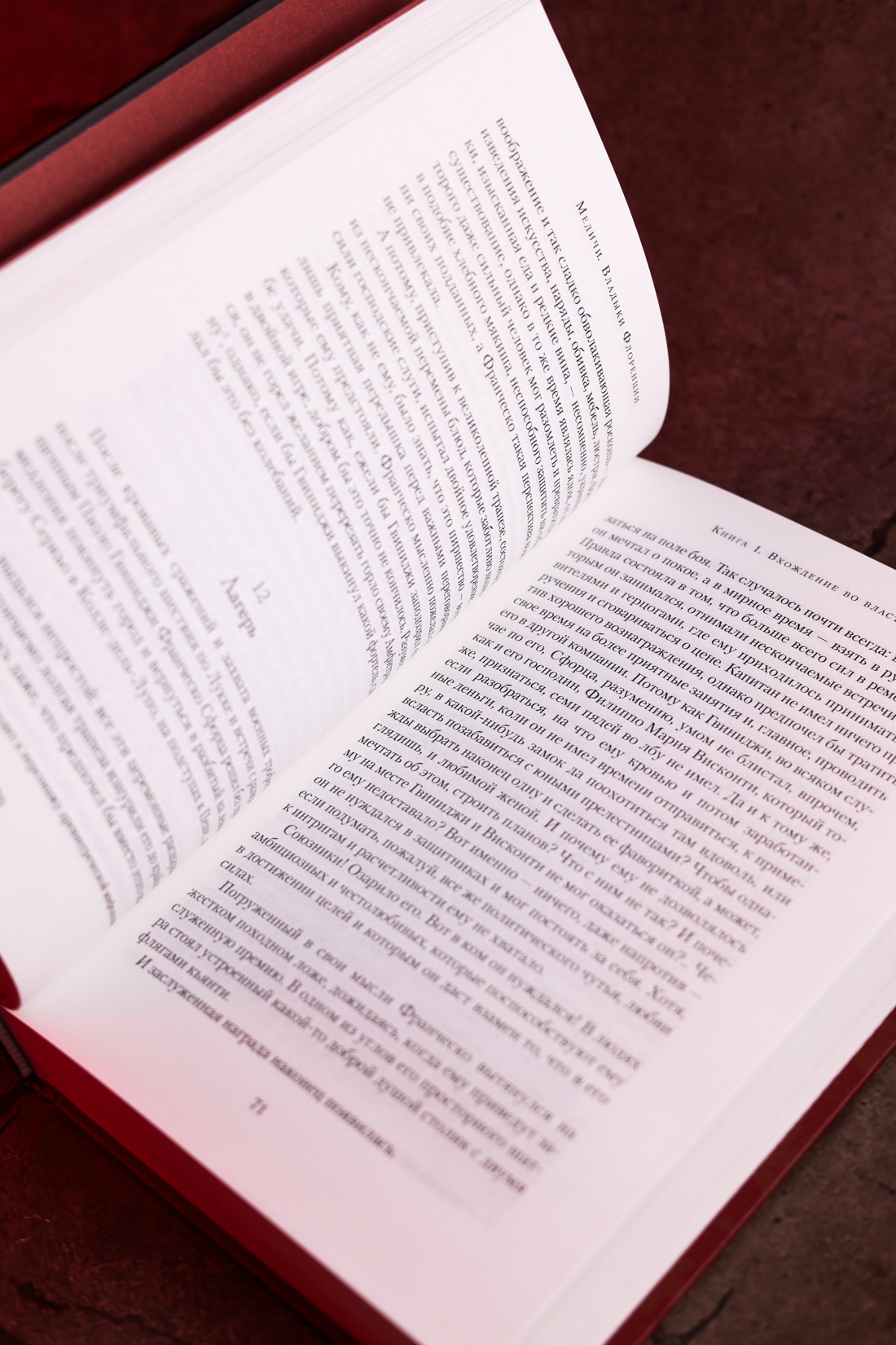 Промо материал к книге "Медичи. Владыки Флоренции" №8