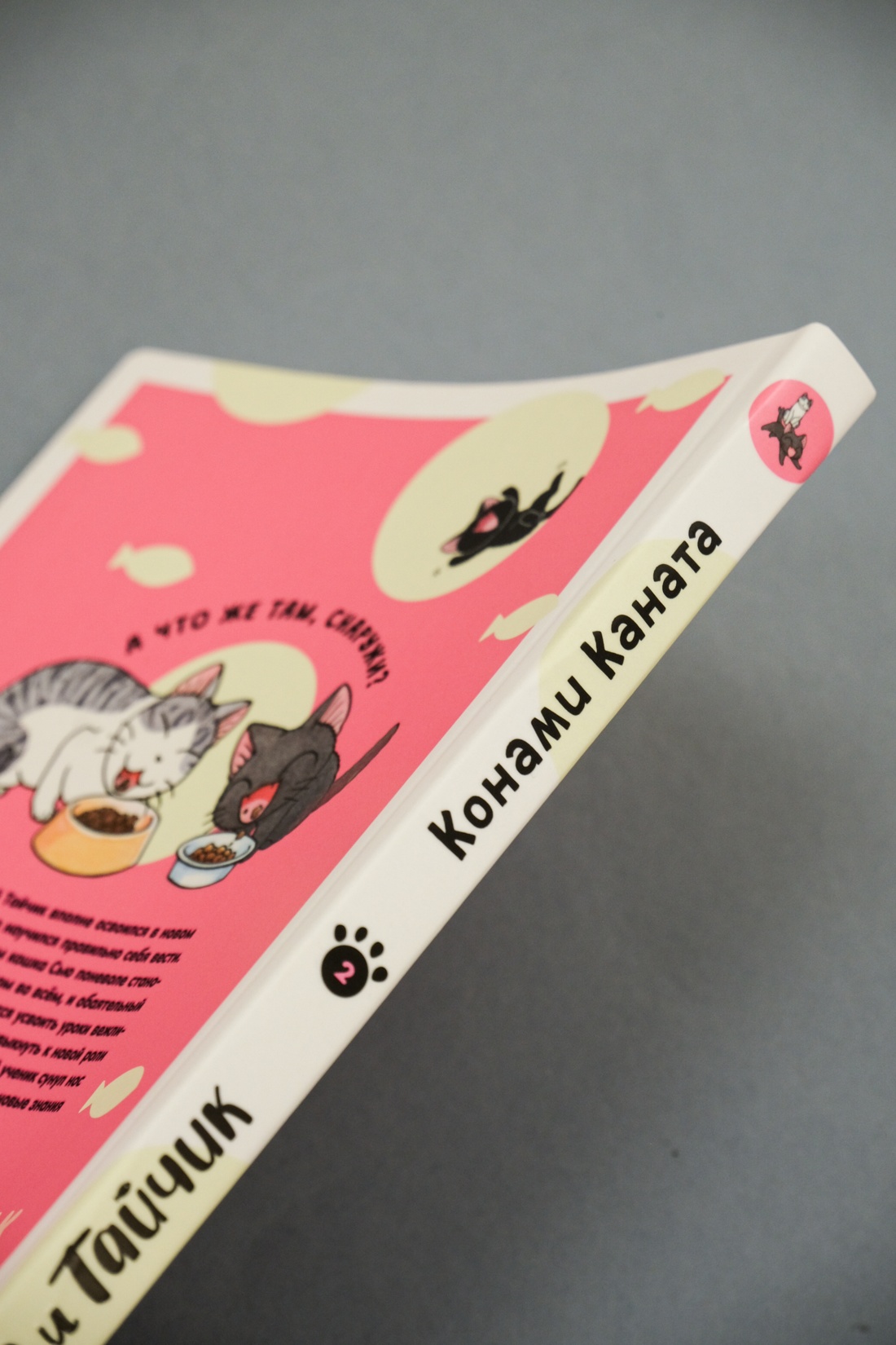 Промо материал к книге "Сью и Тайчик. Книга 2" №11
