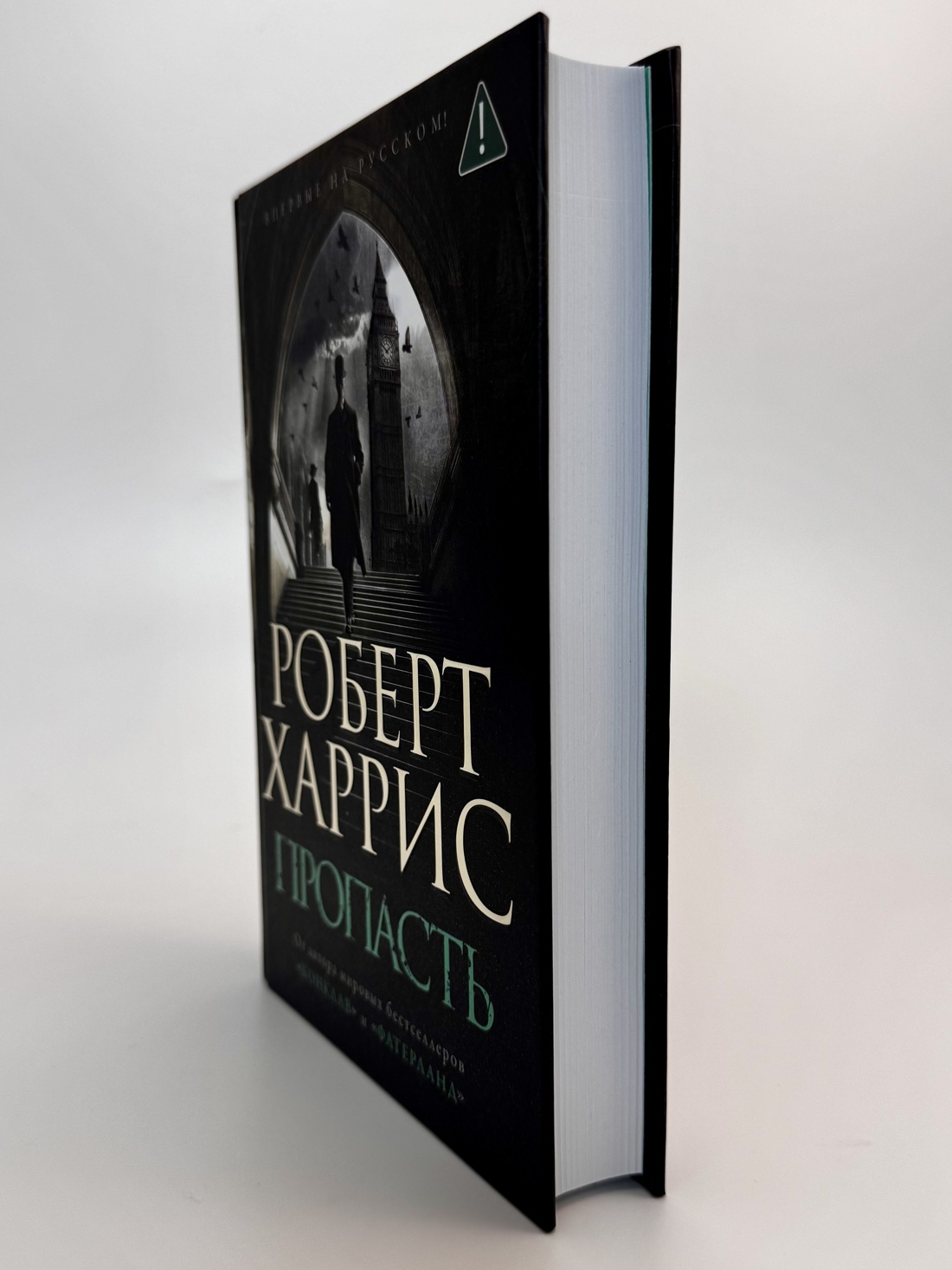 Промо материал к книге "Пропасть" №2