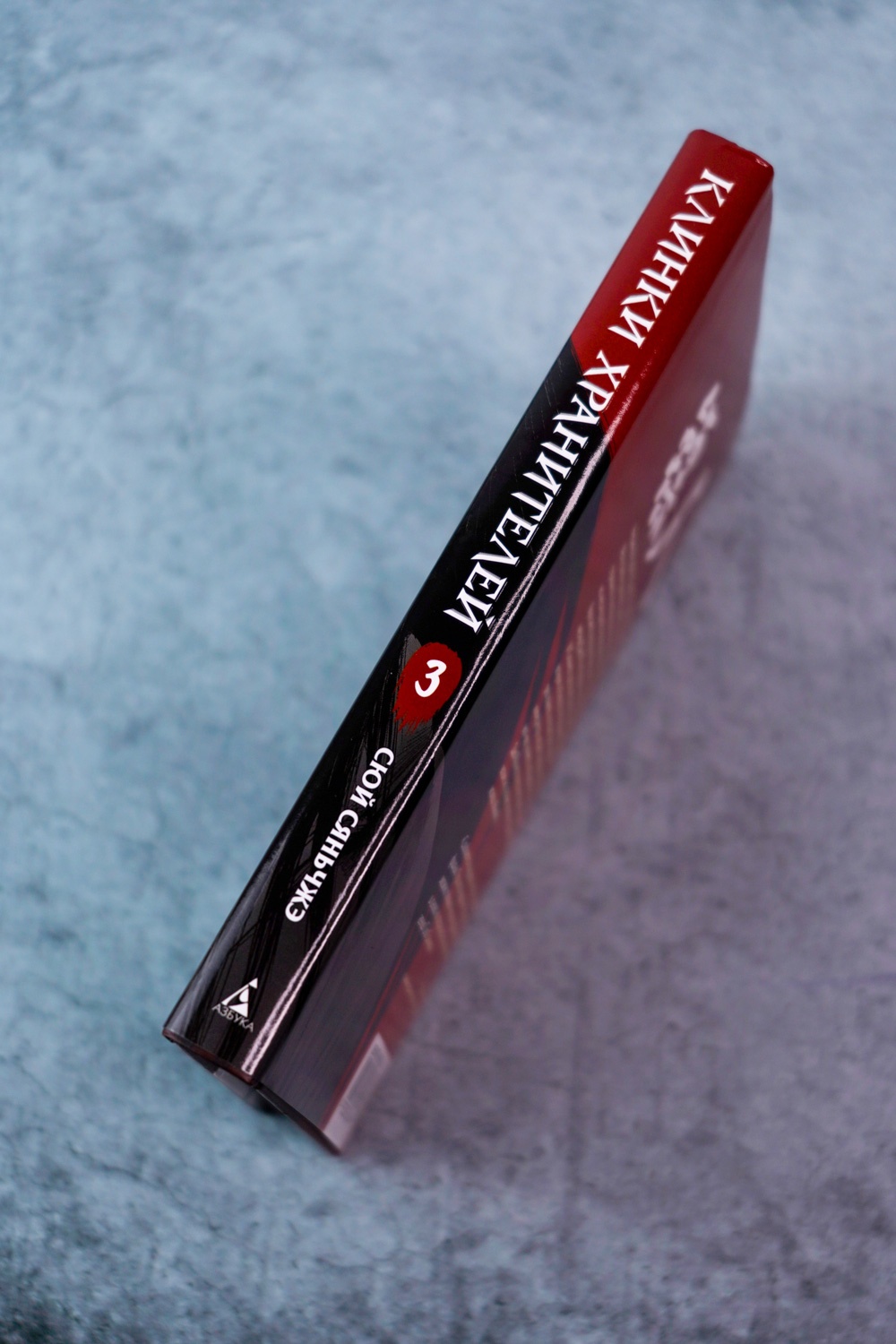 Промо материал к книге "Клинки хранителей. Книга 3" №5