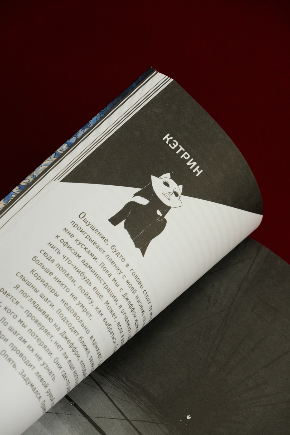 Промо материал к книге "Вопль кошки" №15